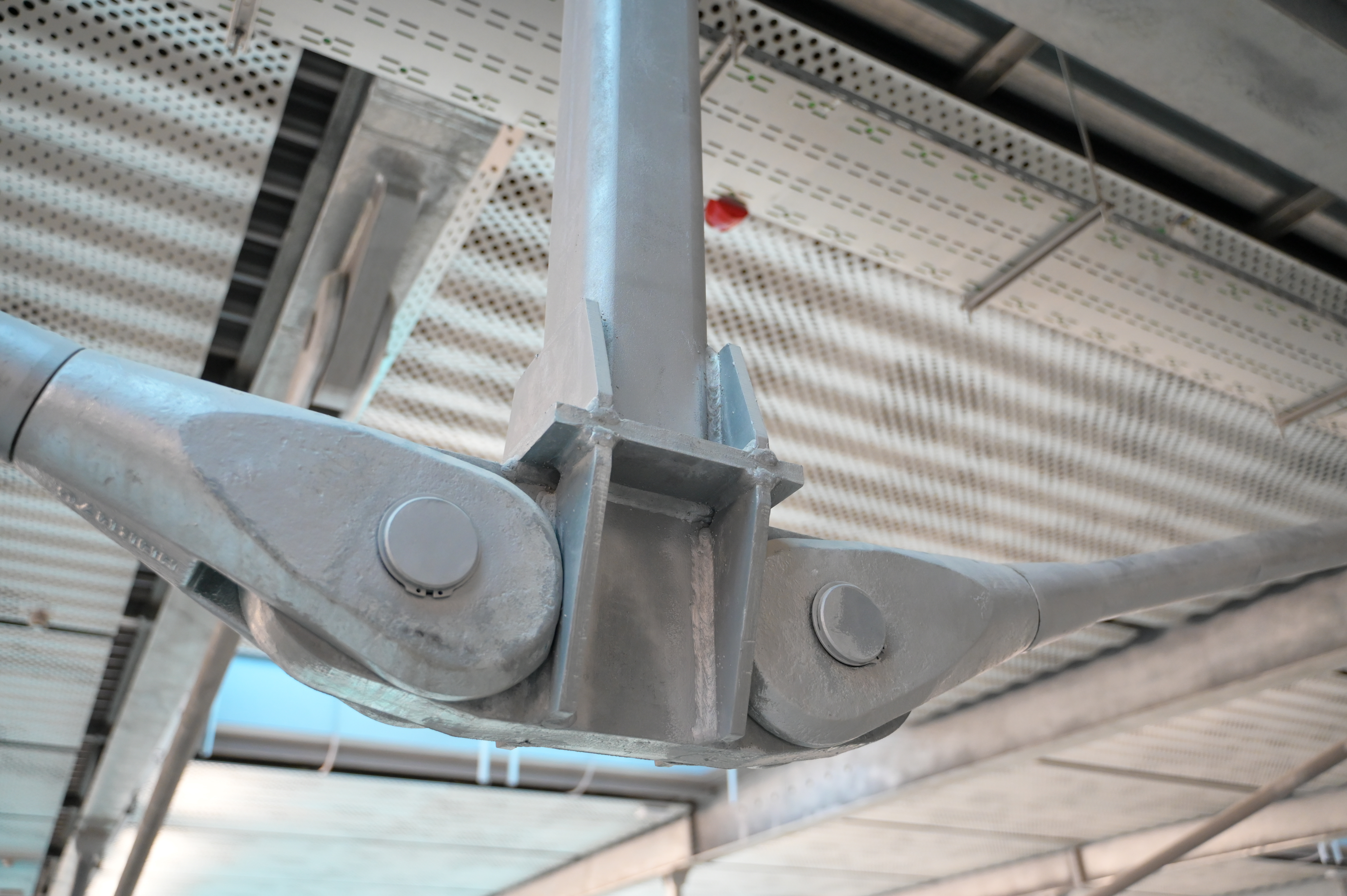 Foto: Denis Sadiković/N1