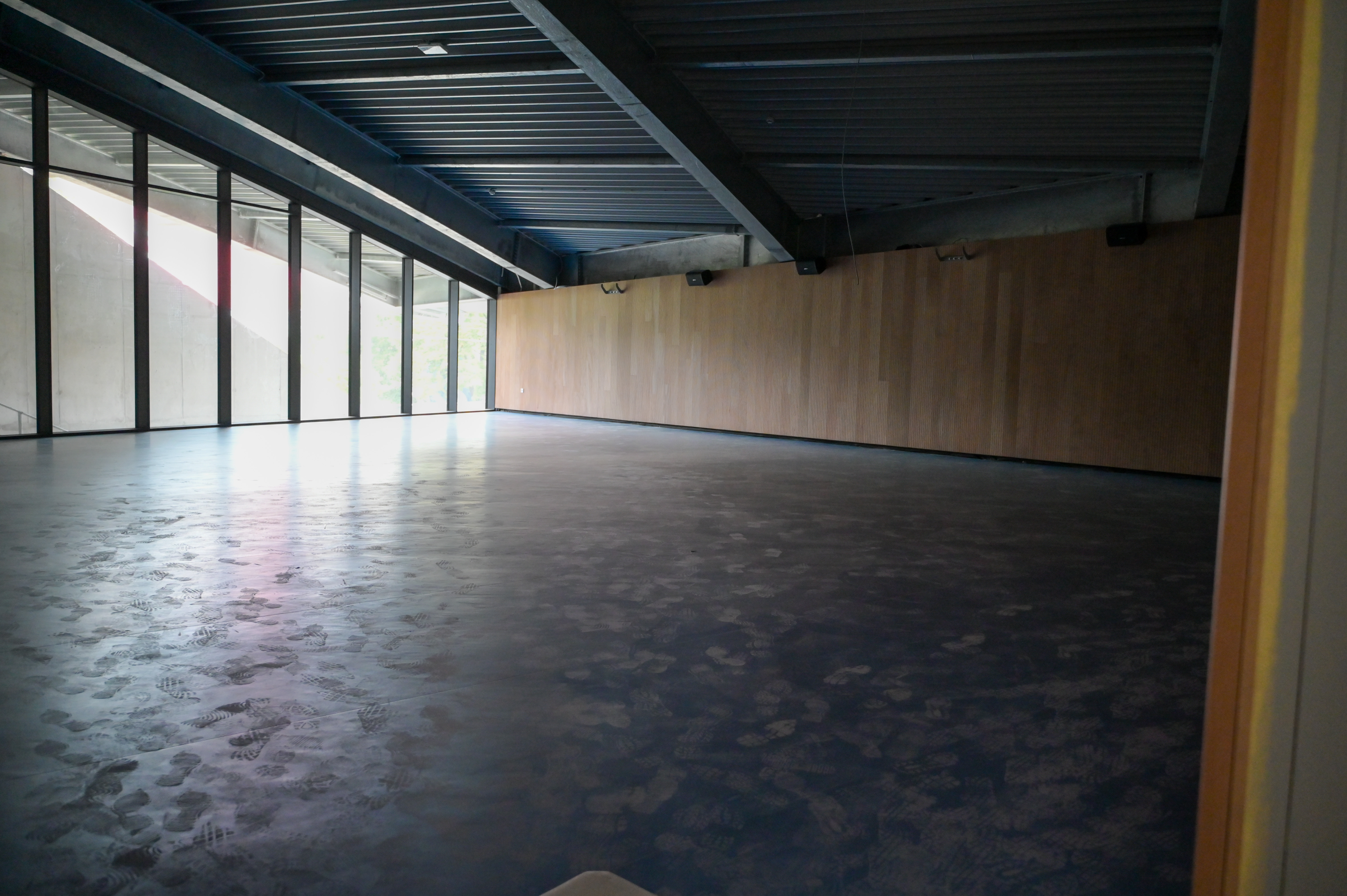 Foto: Denis Sadiković/N1