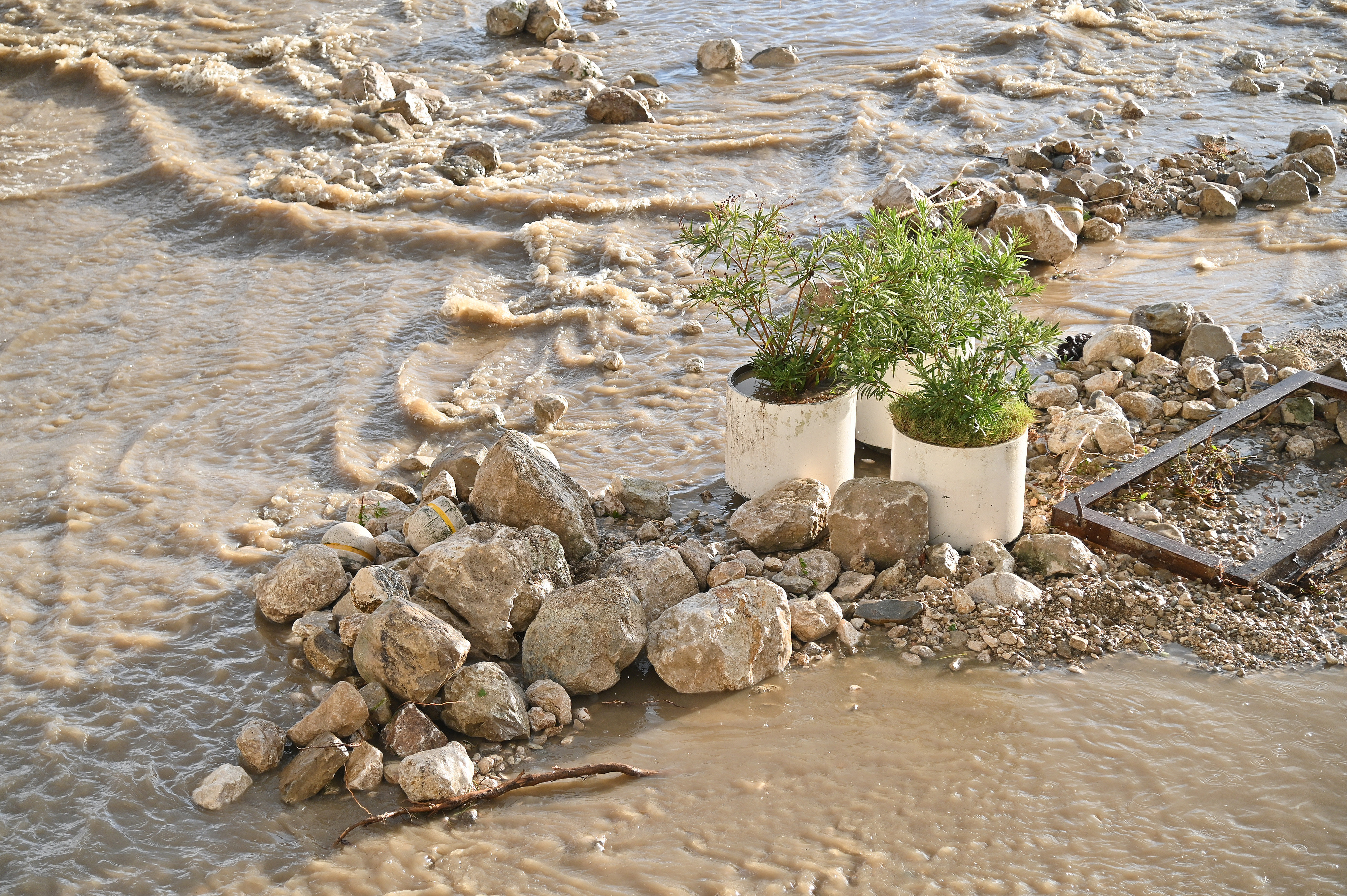 Foto: Matko Begovic/PIXSELL/F.A.BOBO