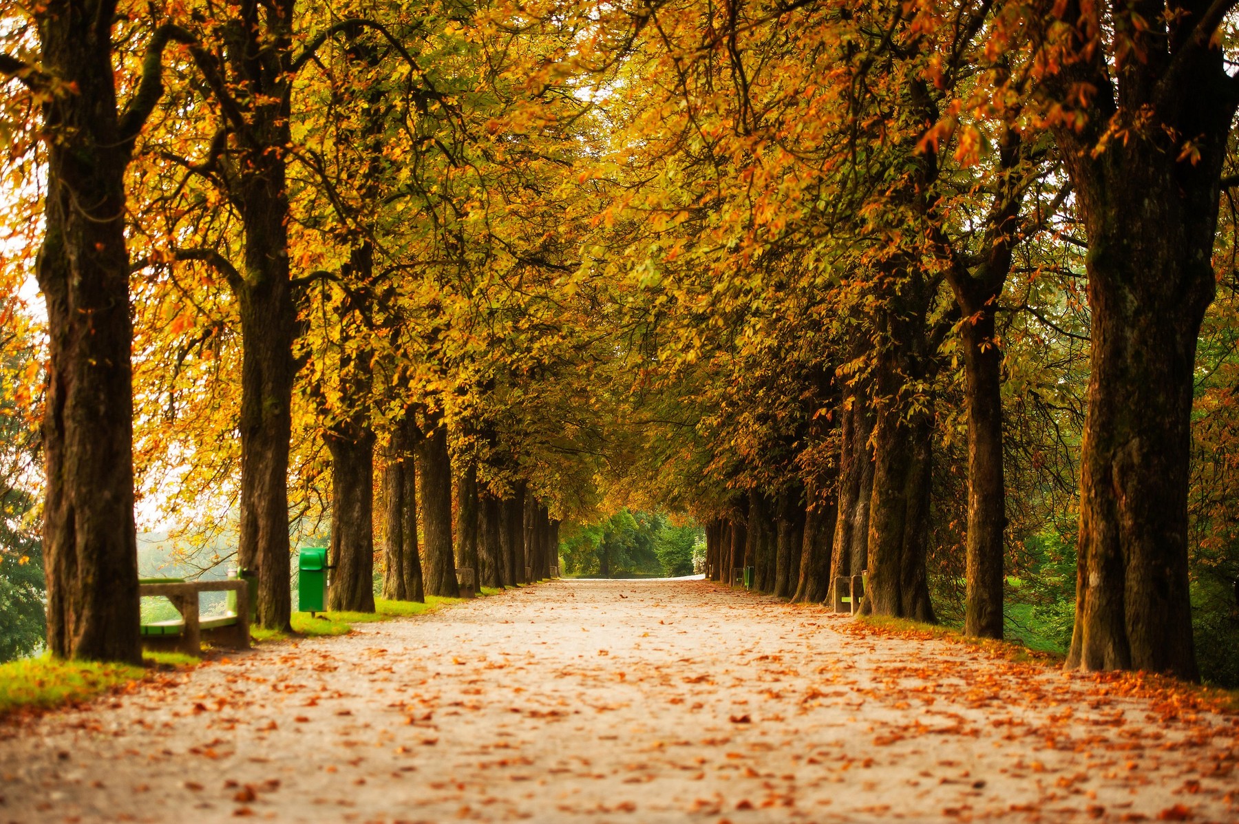 ljubljana, jesen, vreme