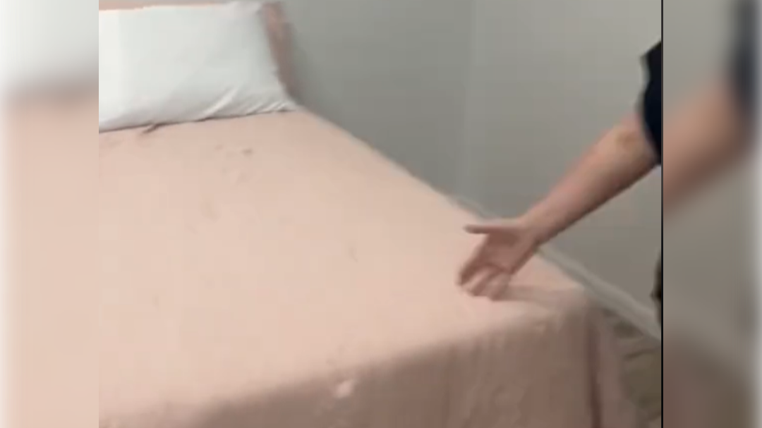 high-res-image - 2024-10-09T110208.942