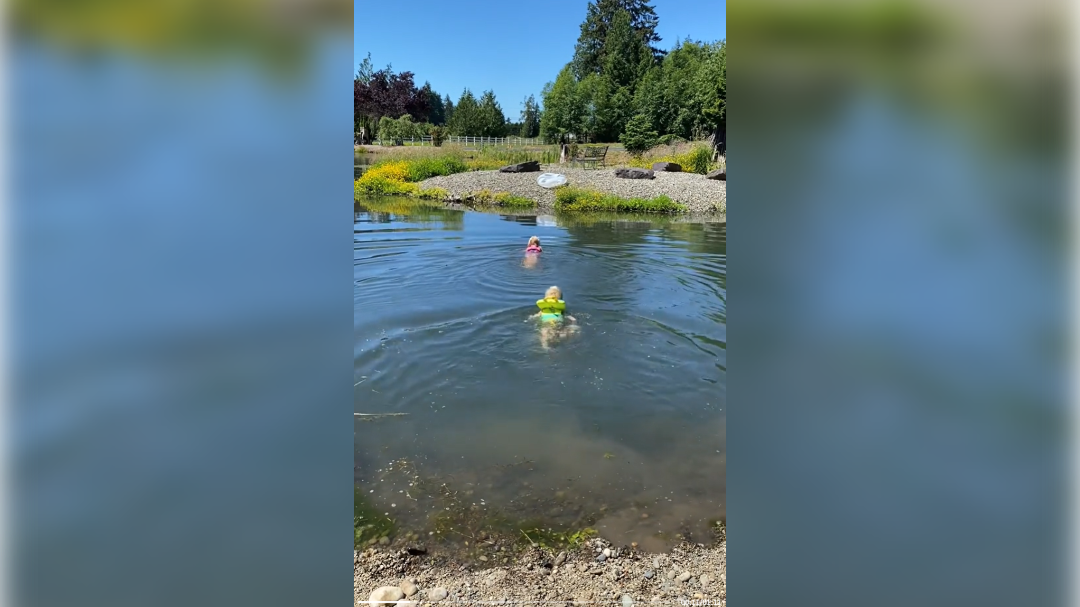 high-res-image - 2024-10-15T111343.479