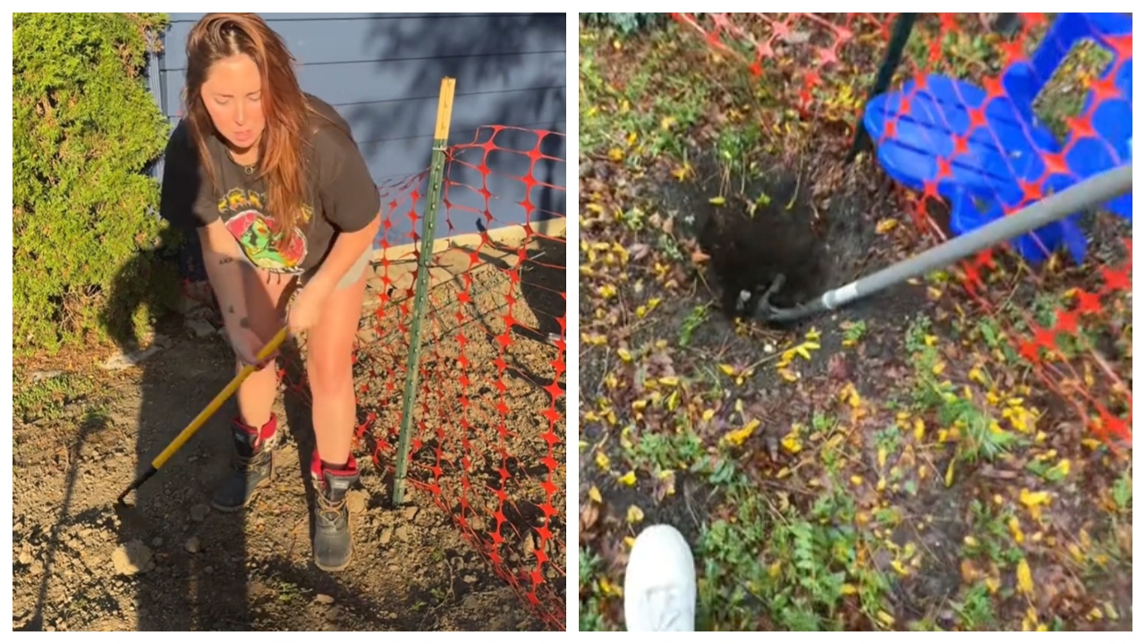 BeFunky-collage - 2024-10-15T133653.736