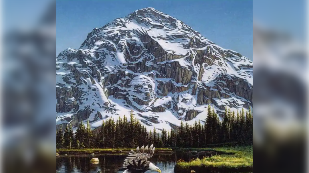 high-res-image - 2024-10-17T142945.030