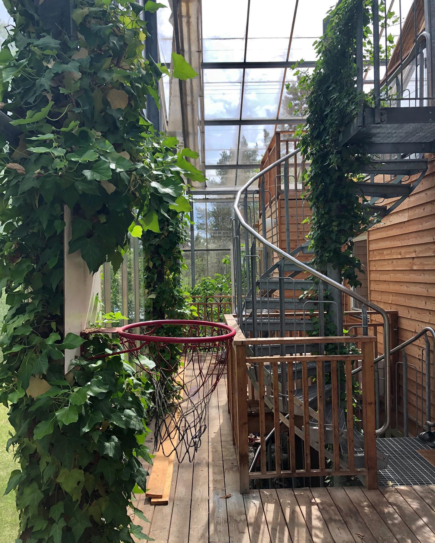 naturhus, hiša v rastlinjaku