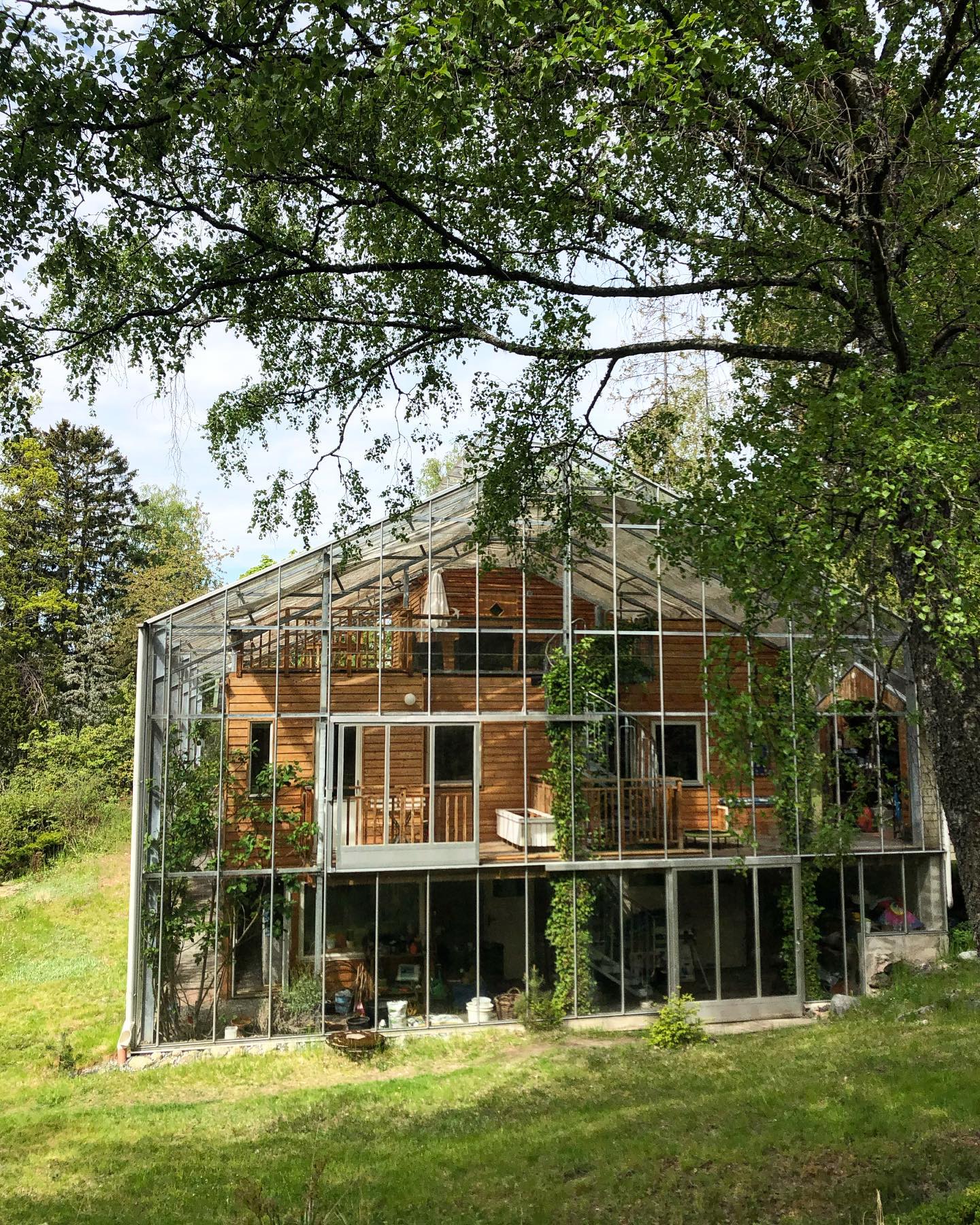 naturhus, hiša v rastlinjaku