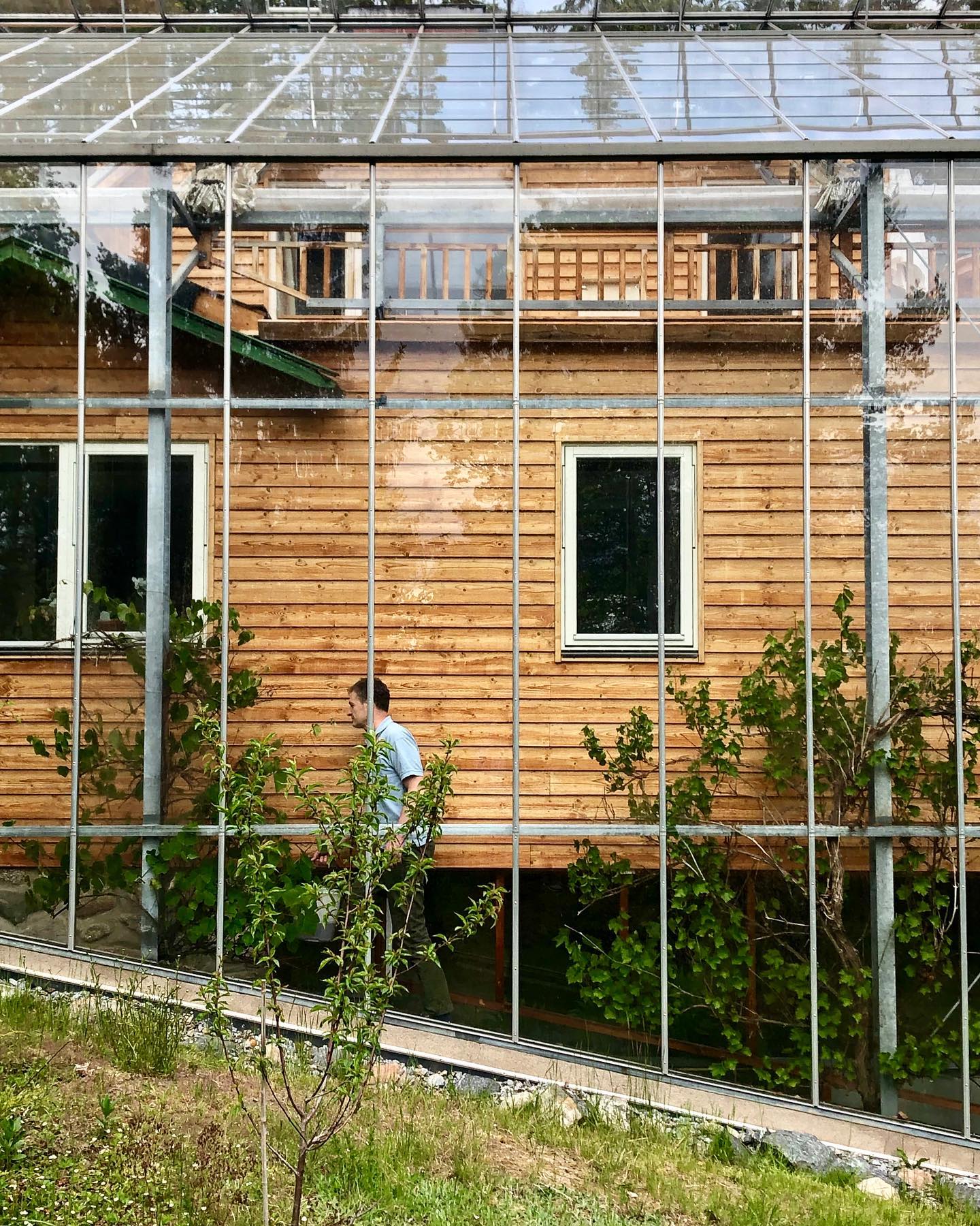 naturhus, hiša v rastlinjaku