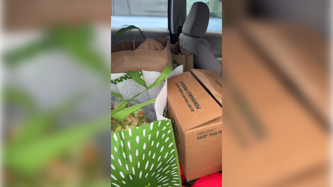 high-res-image - 2024-10-24T105218.535