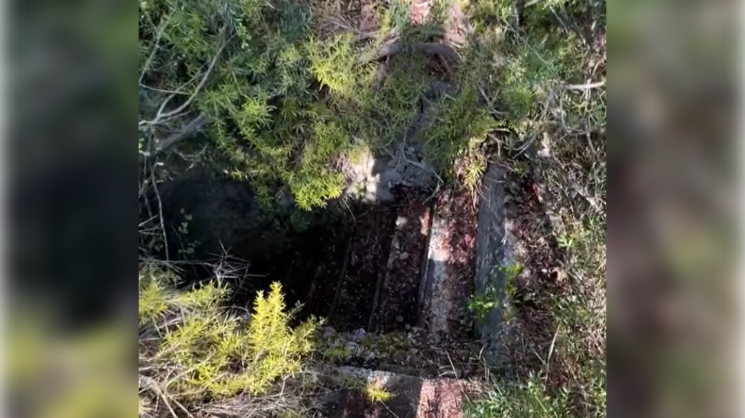 high-res-image - 2024-10-24T141220.811