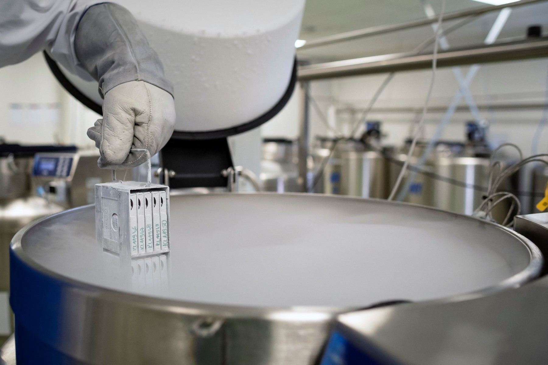 poljska banka popkovnične krvi