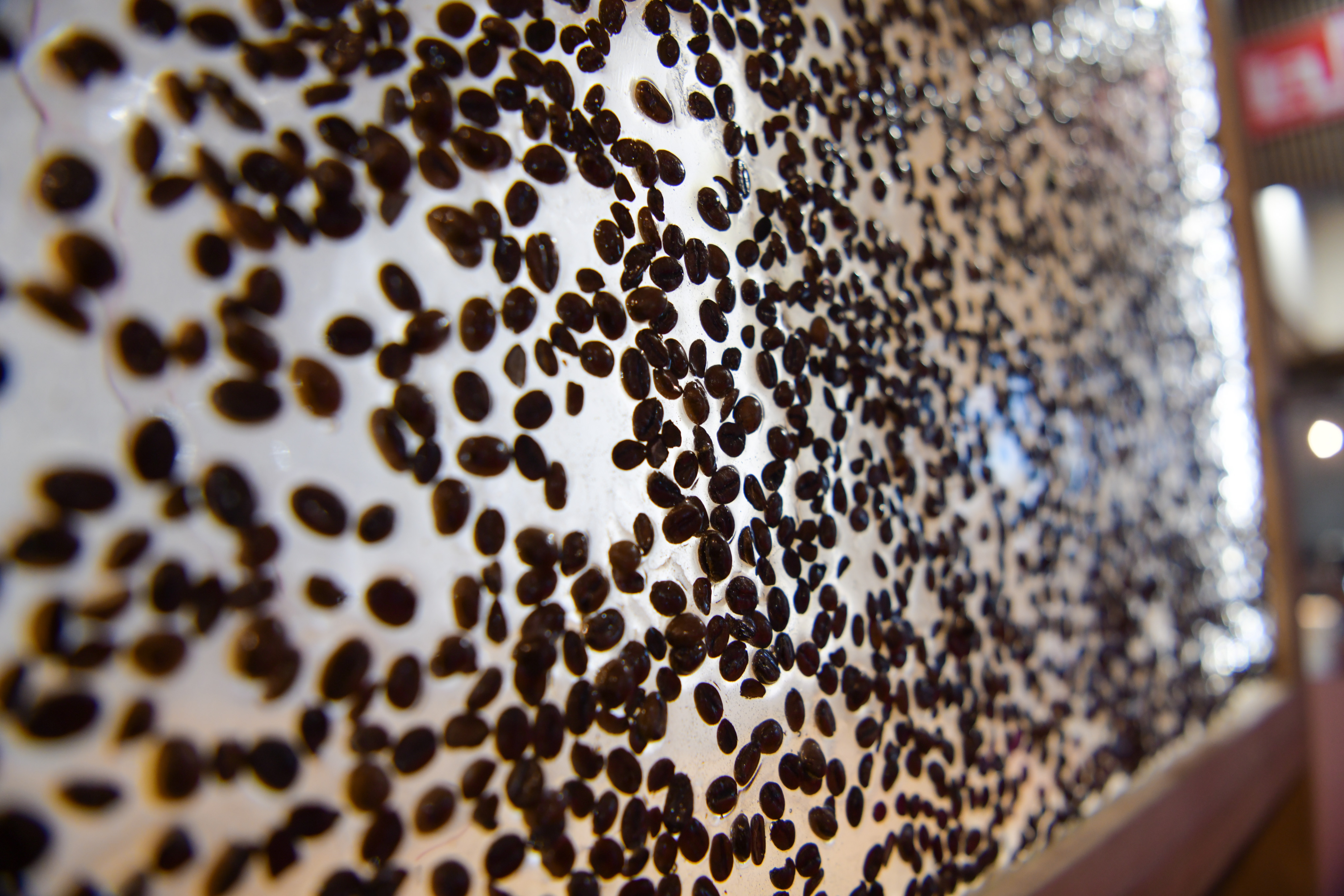 Foto: Egon Parteli/N1