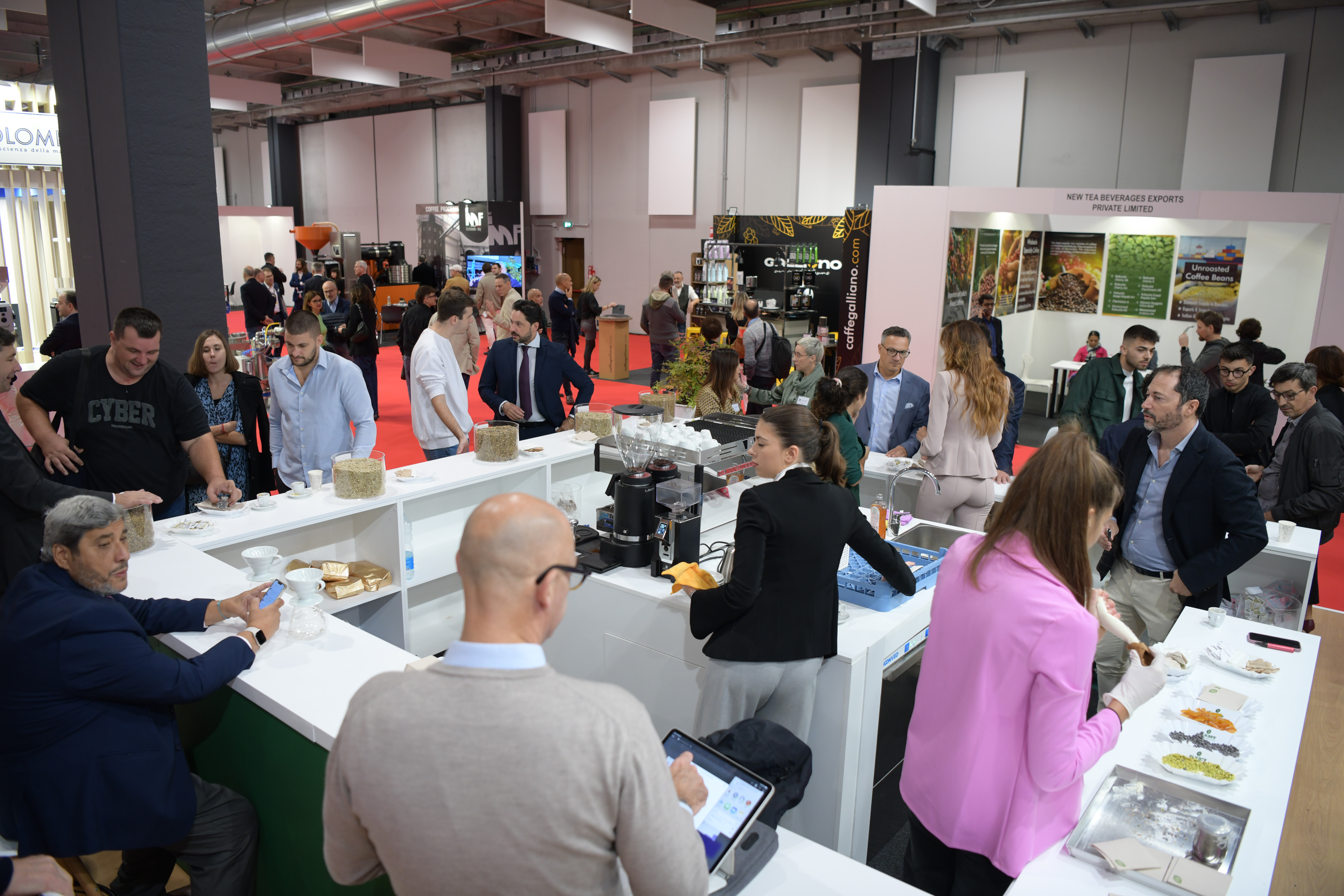 Foto: Egon Parteli/N1