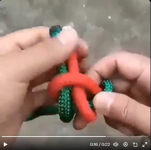 Foto: Zajem zaslona/X