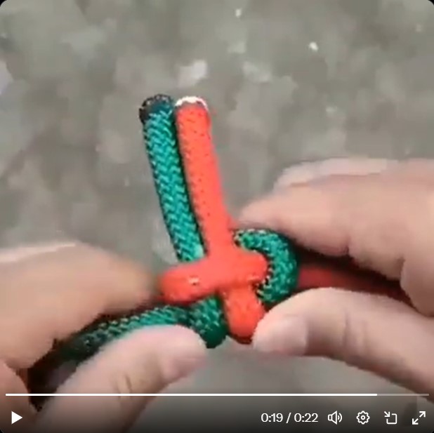 Foto: Zajem zaslona/X