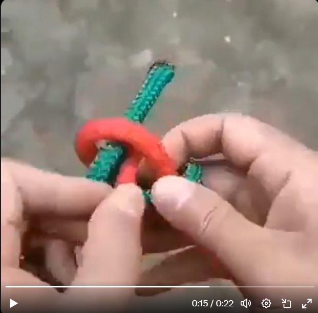 Foto: Zajem zaslona/X