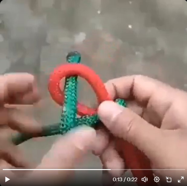 Foto: Zajem zaslona/X