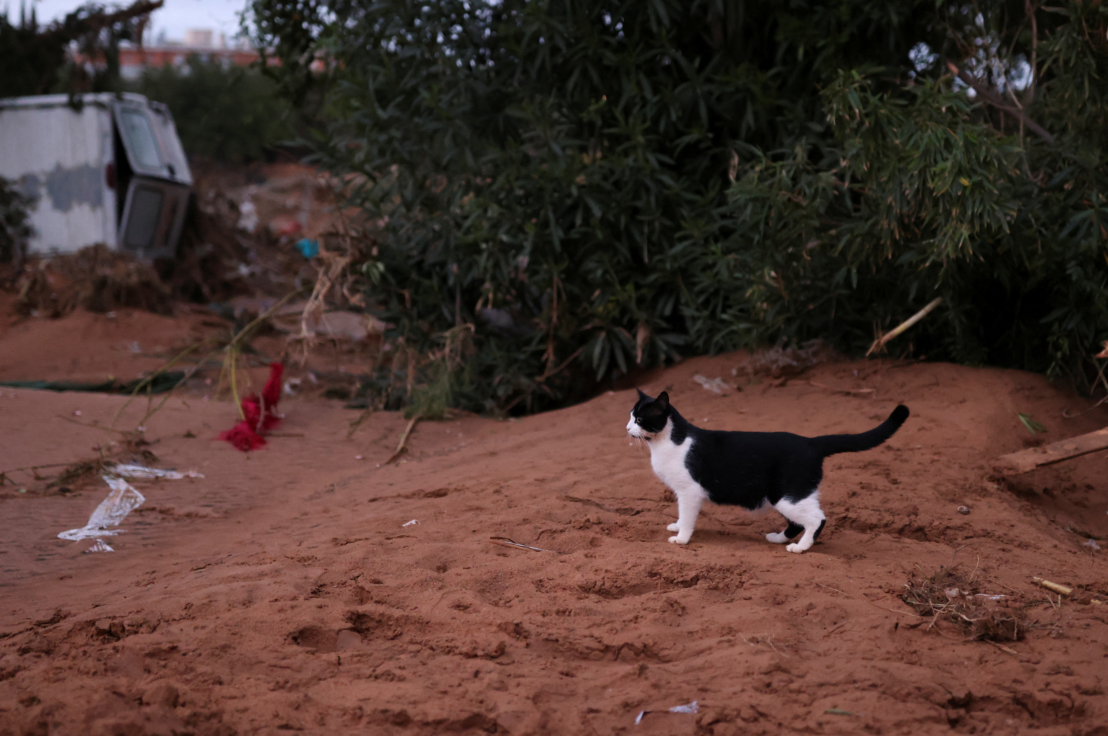 Aftermath of floods near Valencia
