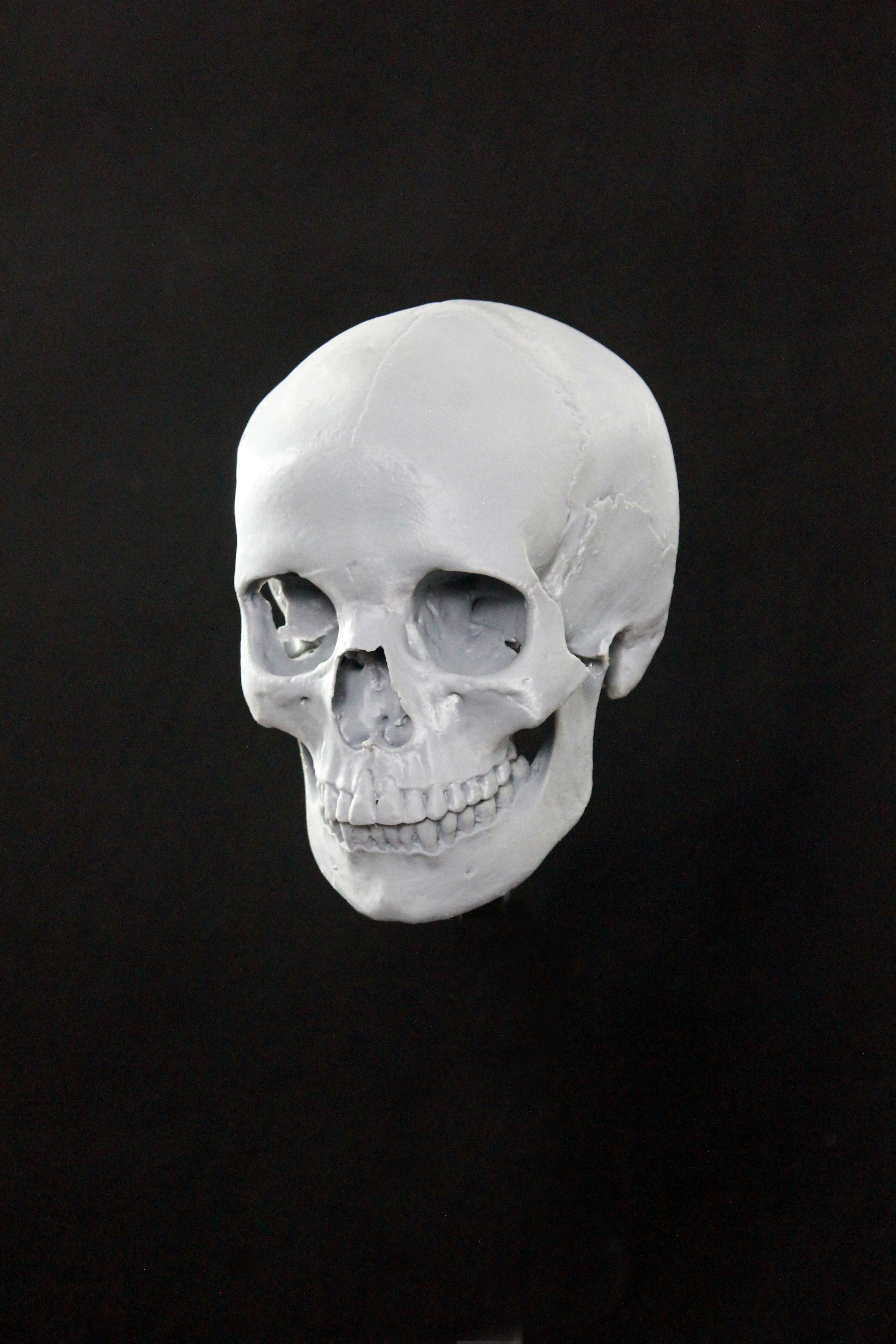 obraz, rekonstrukcija, vampirka