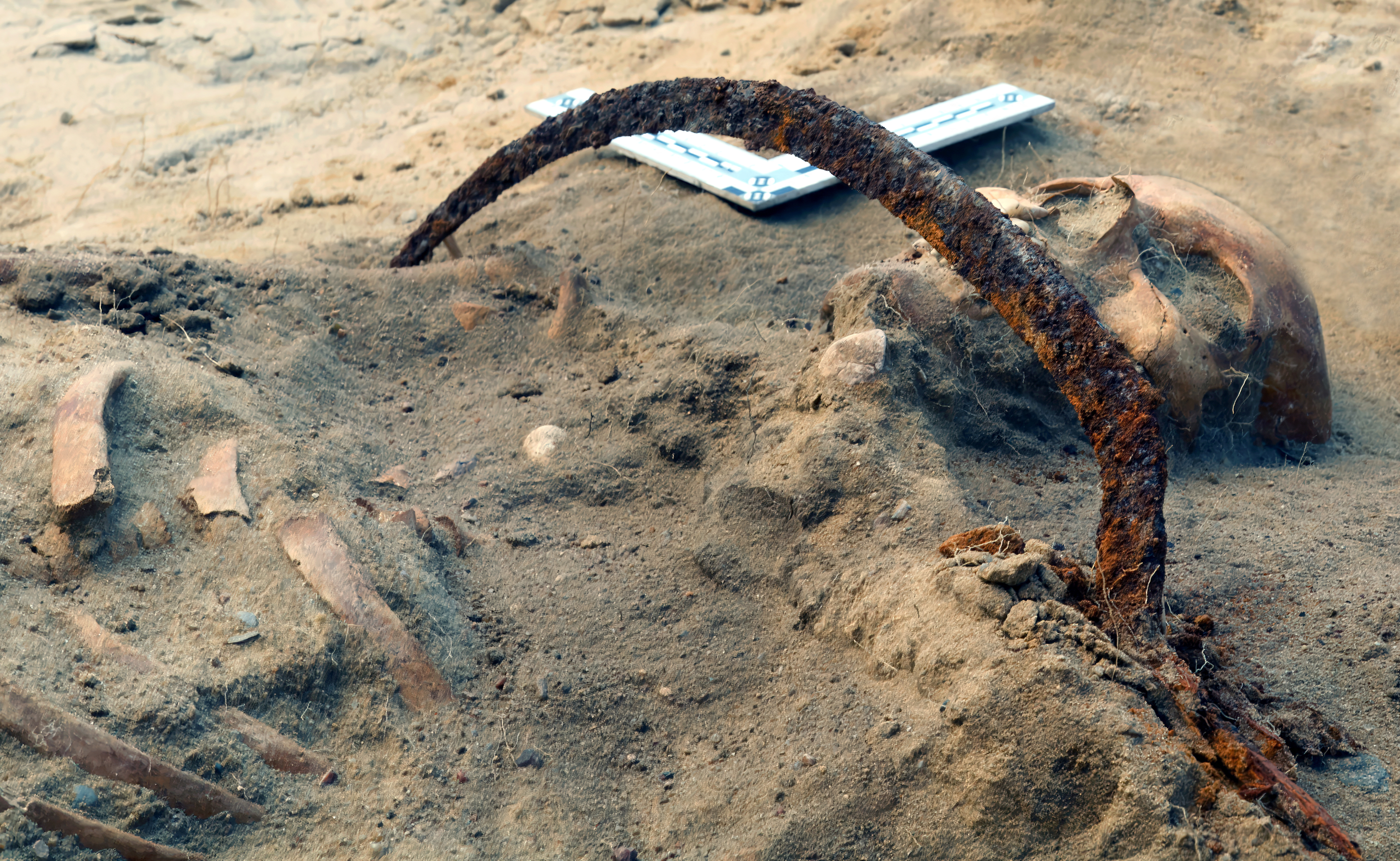 okostje, najdba, vampir