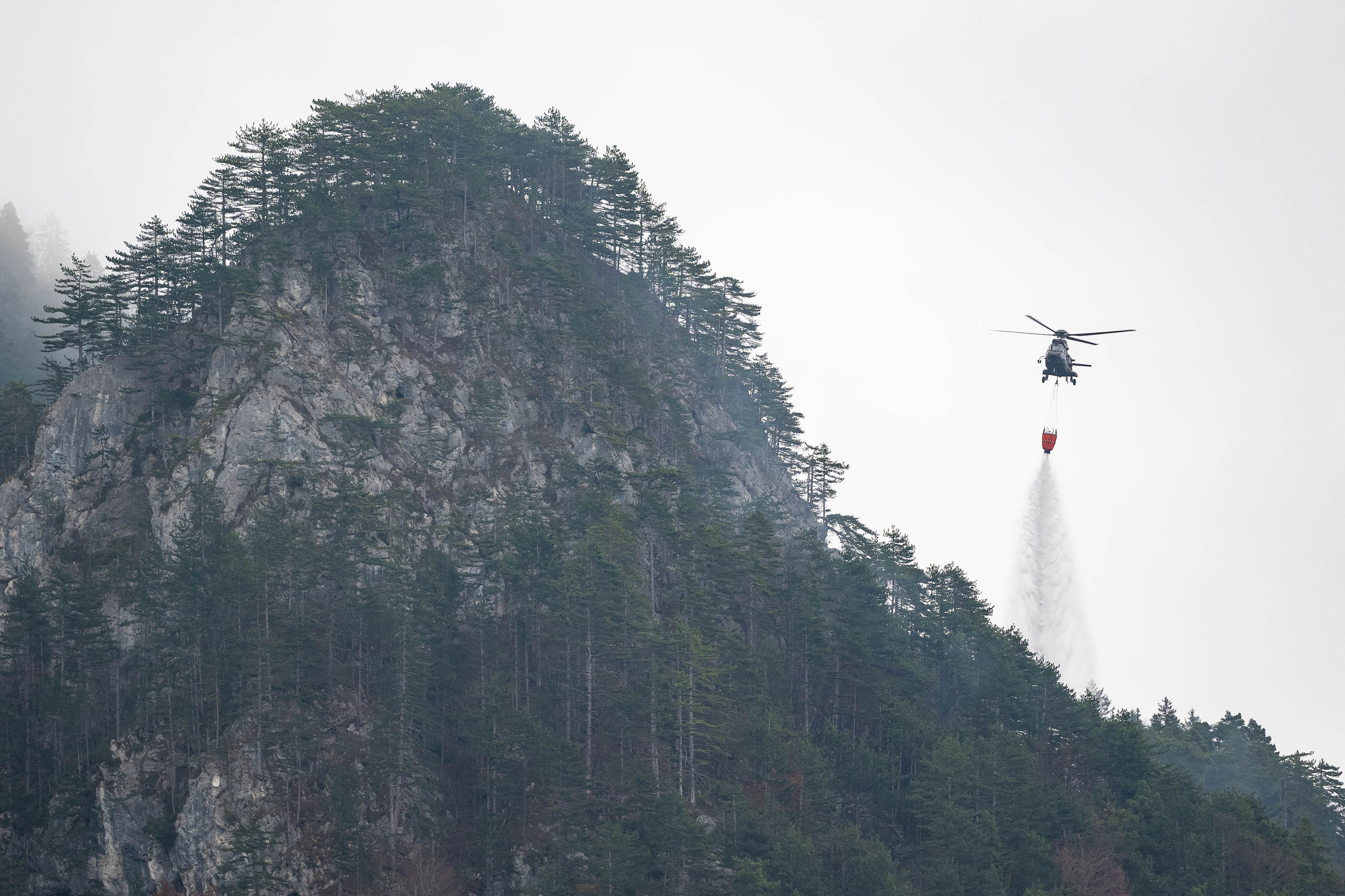 Foto: Nik Bertoncelj/F.A.BOBO