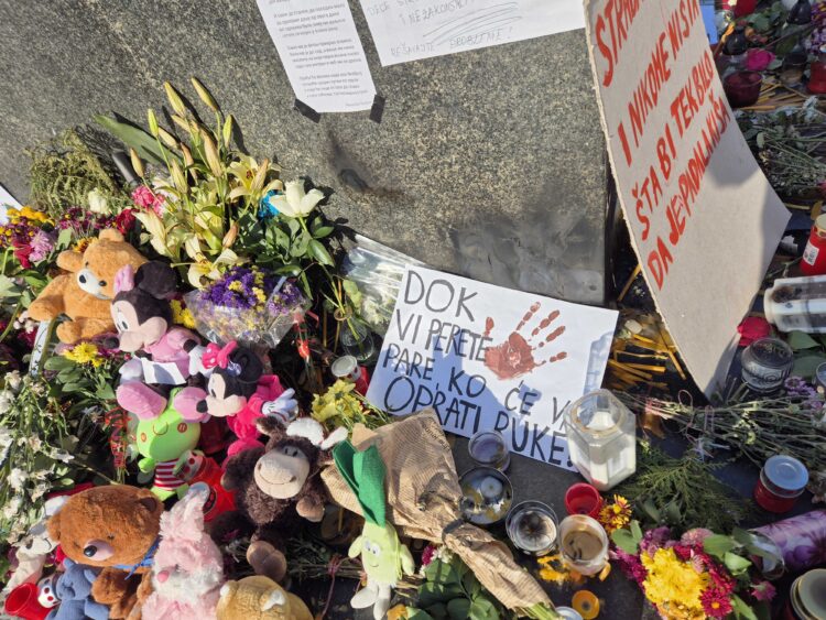 Foto: Sanja Kosović/N1 Srbija