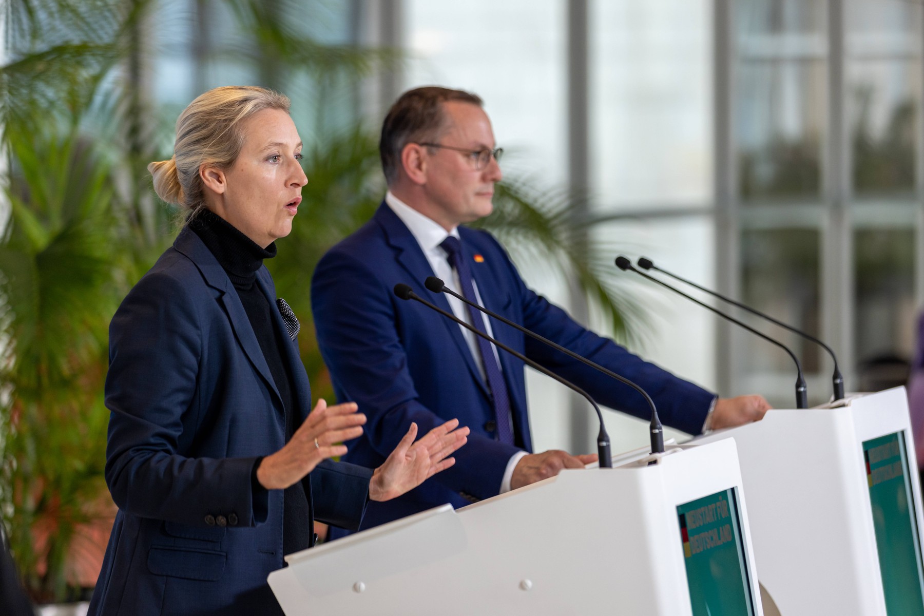 Alice Weidel, Tino Chrupalla, AdF