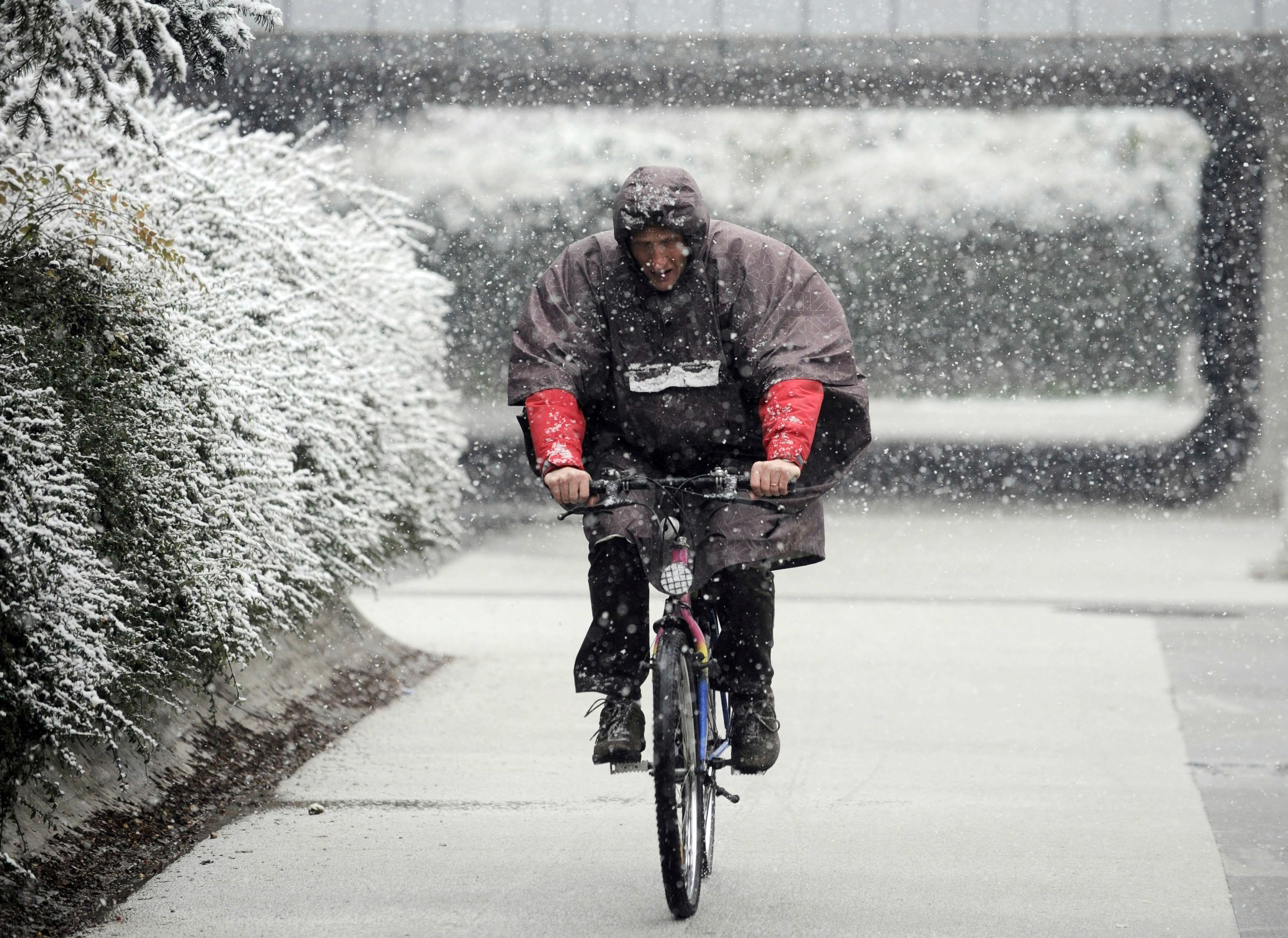 snežinke, sneg, kolesar
