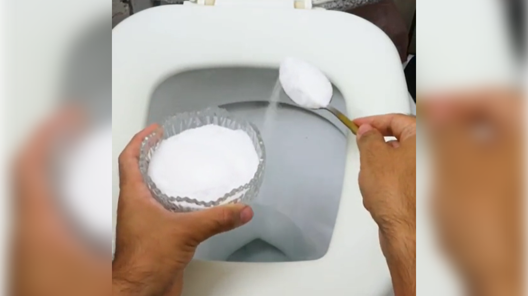 straniščna školjka, sol