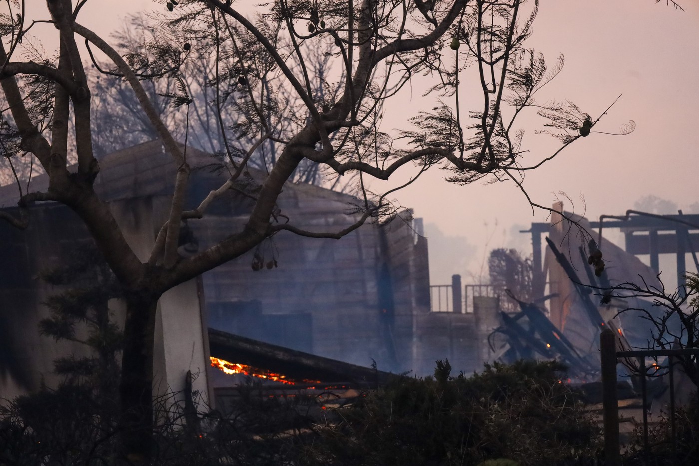 Prizor iz Kalifornije (Foto: PROFIMEDIA)