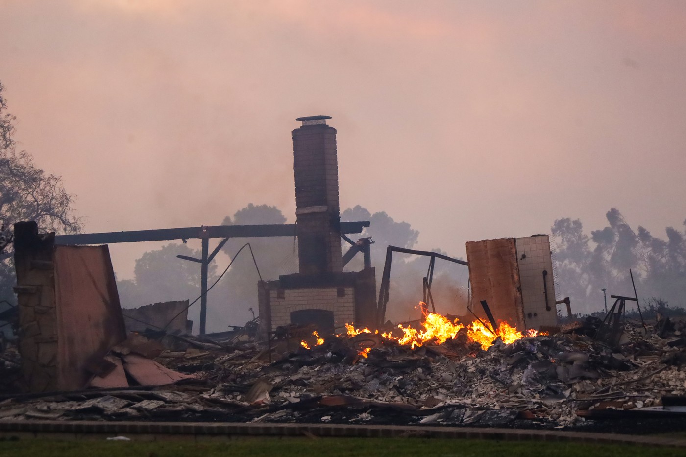 Prizor iz Kalifornije (Foto: PROFIMEDIA)