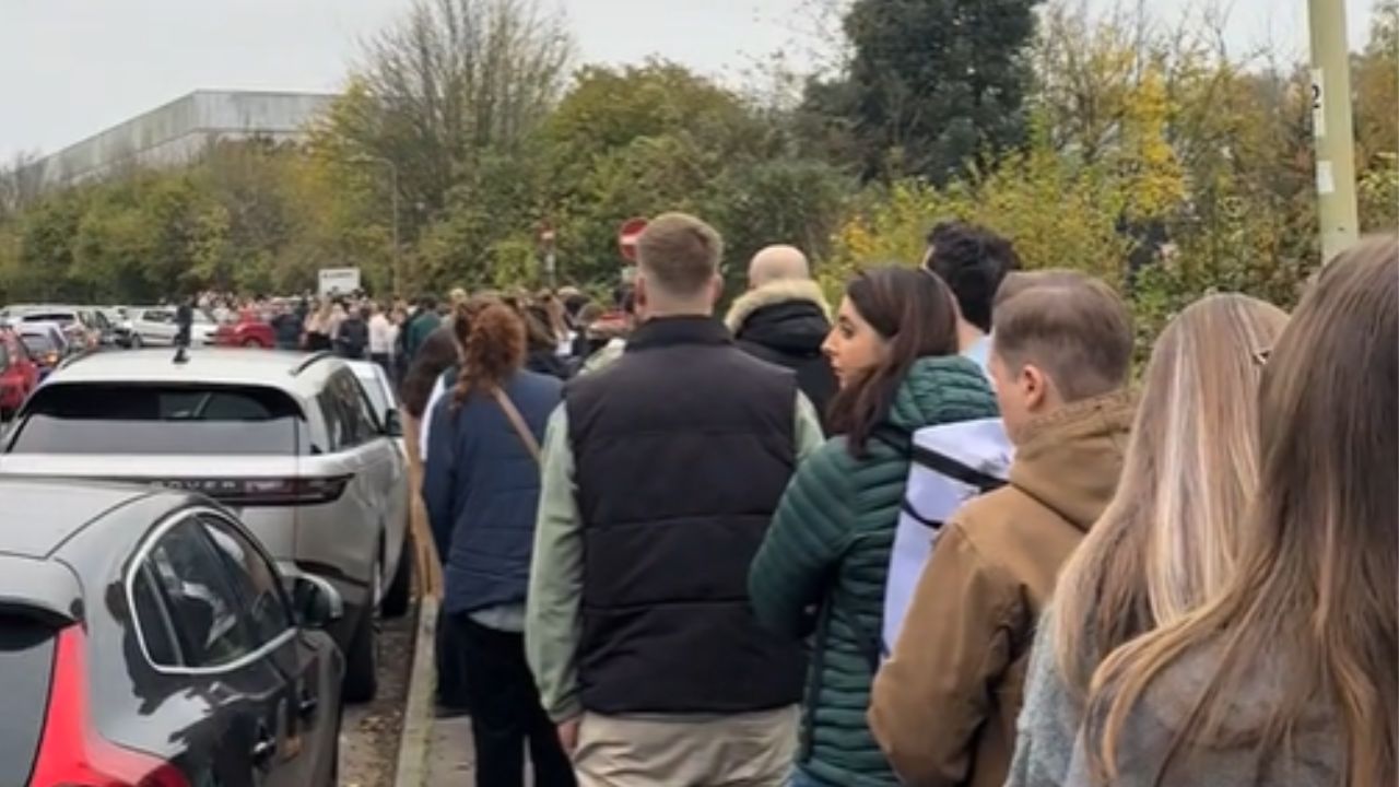 vrsta, razprodaja, gneča