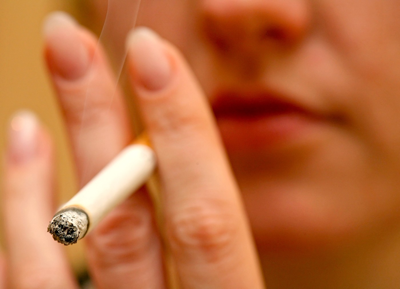 profimedia-0083121539