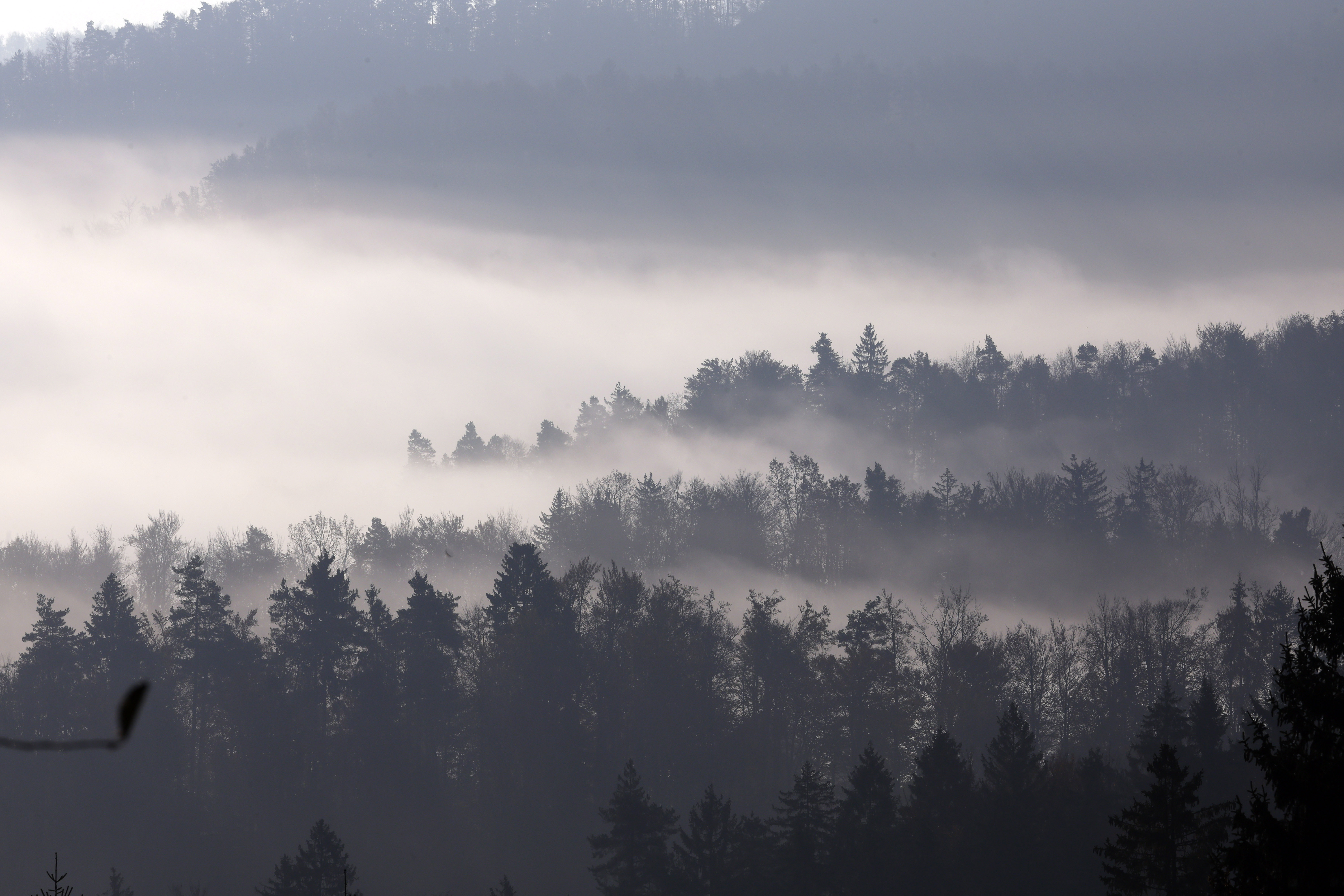 Jutranja Megla, vreme
