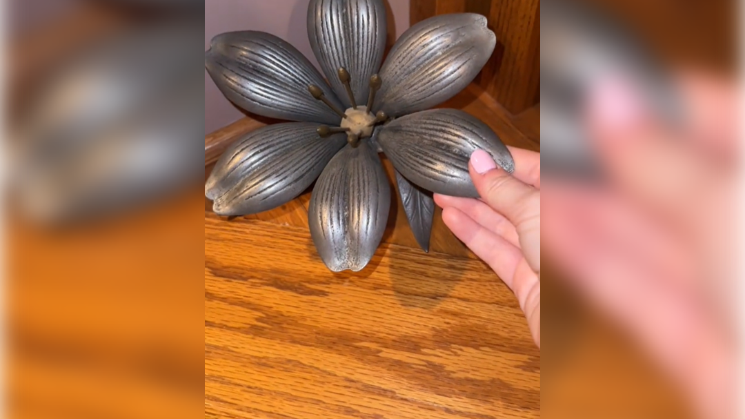 high-res-image - 2024-11-13T101705.725