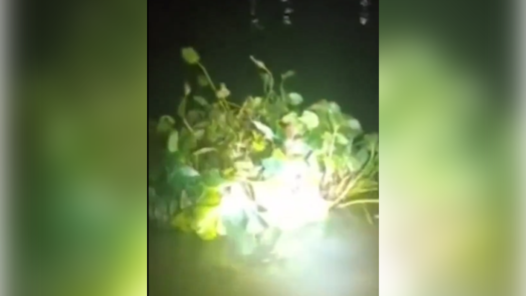 high-res-image - 2024-11-13T141928.535