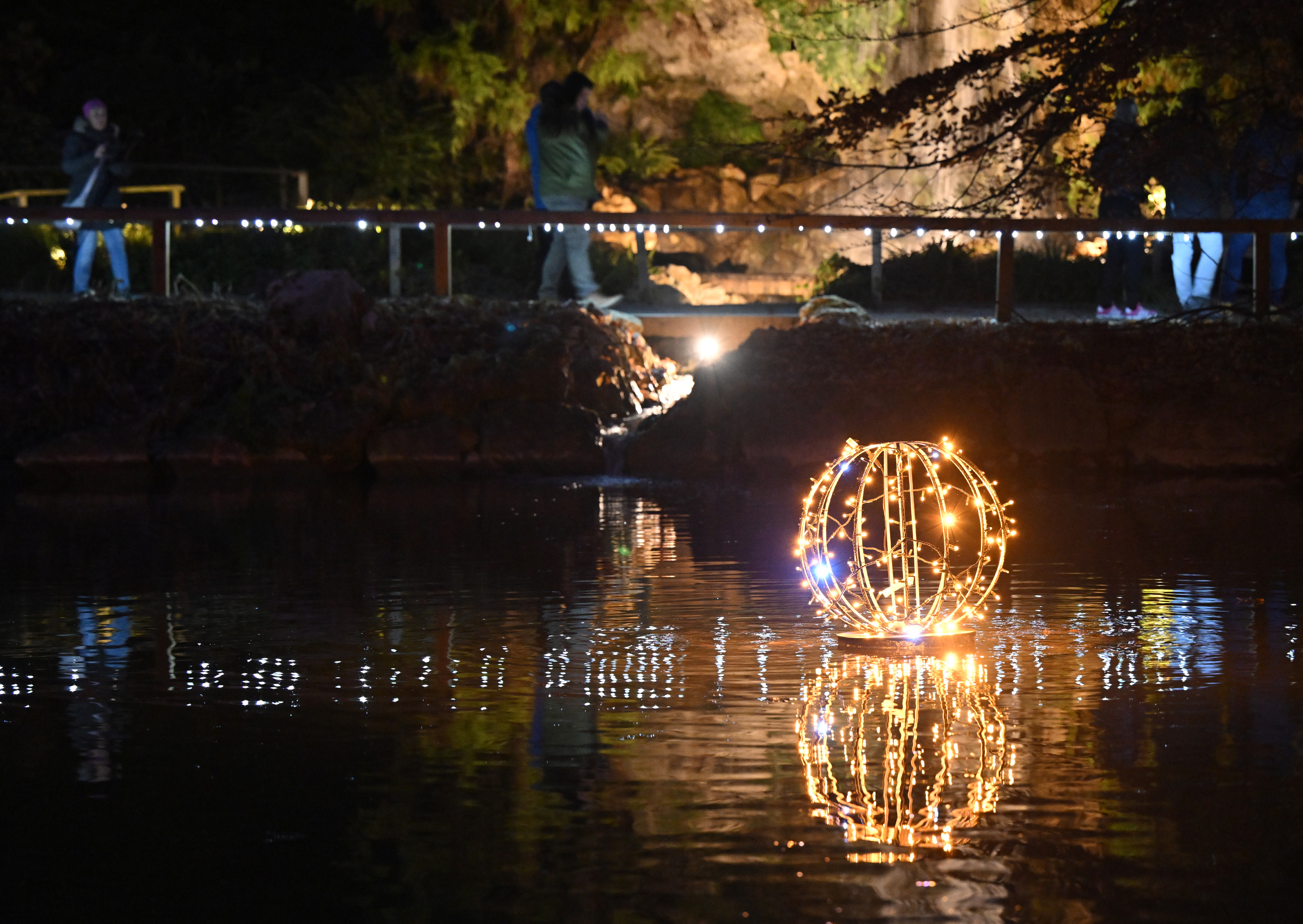 Foto: Žiga Živulović jr./F.A.Bobo