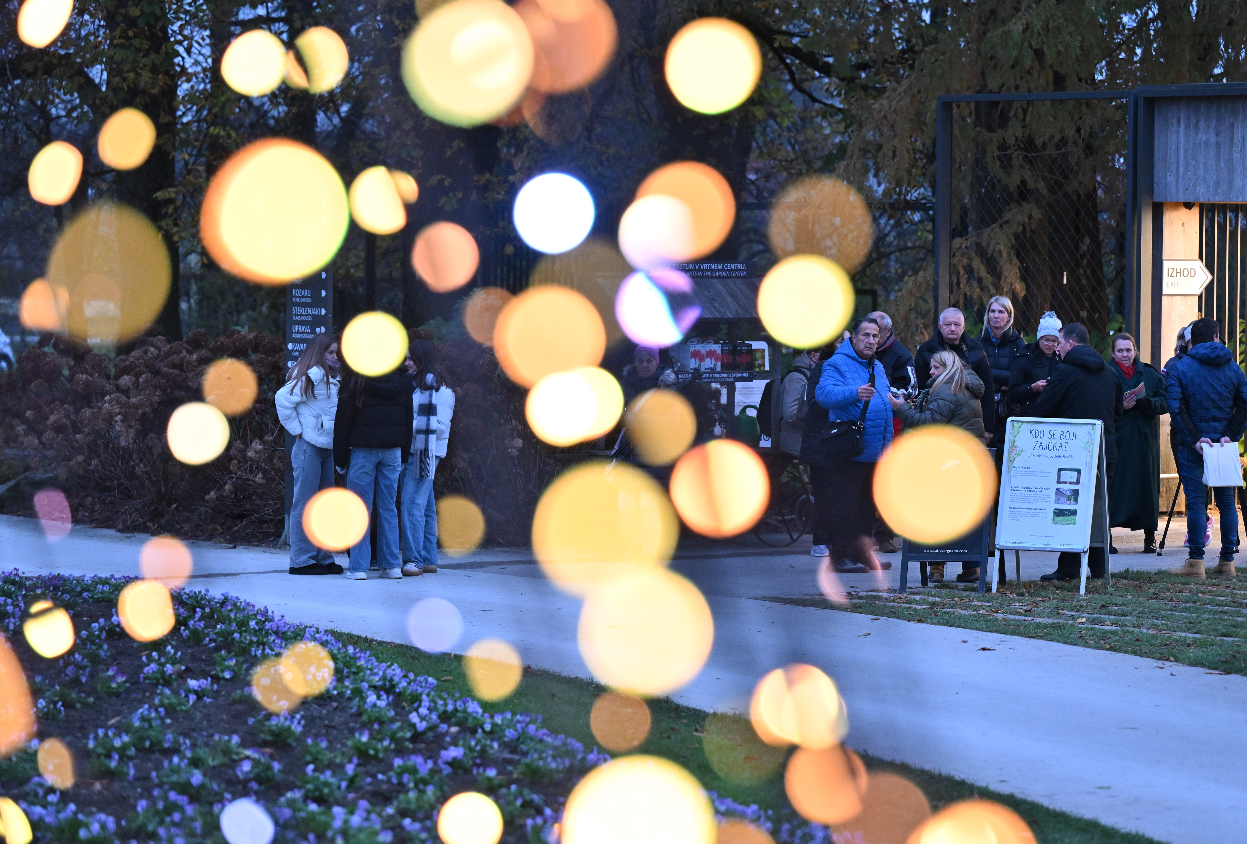 Foto: Žiga Živulović jr./F.A.Bobo