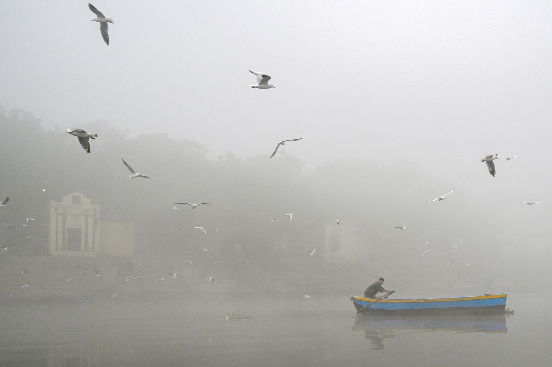 new delhi, smog, indija