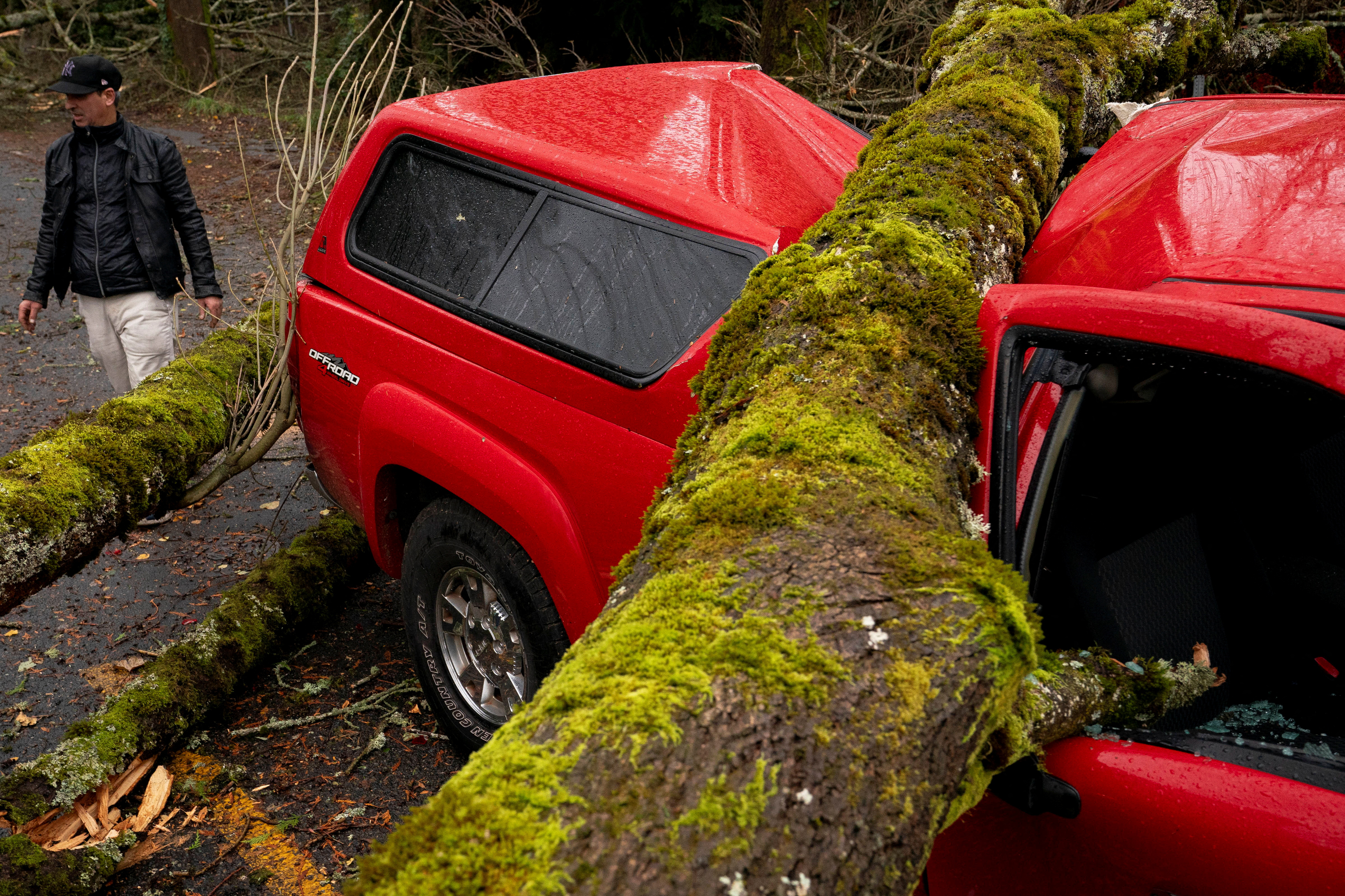 Podrta drevesa na avtomobilih. (Foto: David Ryder/REUTERS)