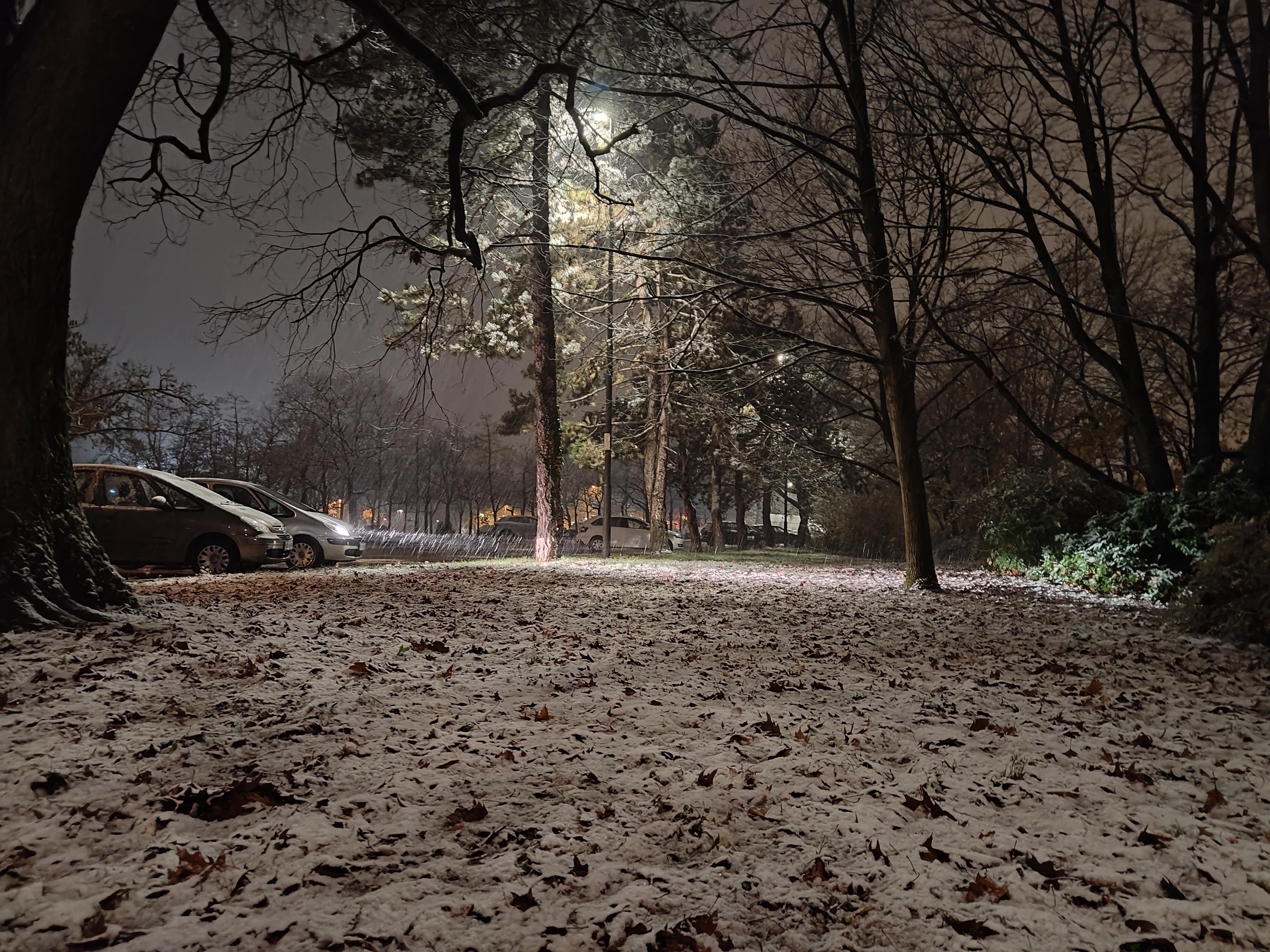 Prvi letošnji sneg, Ljubljana (Foto:  N1)