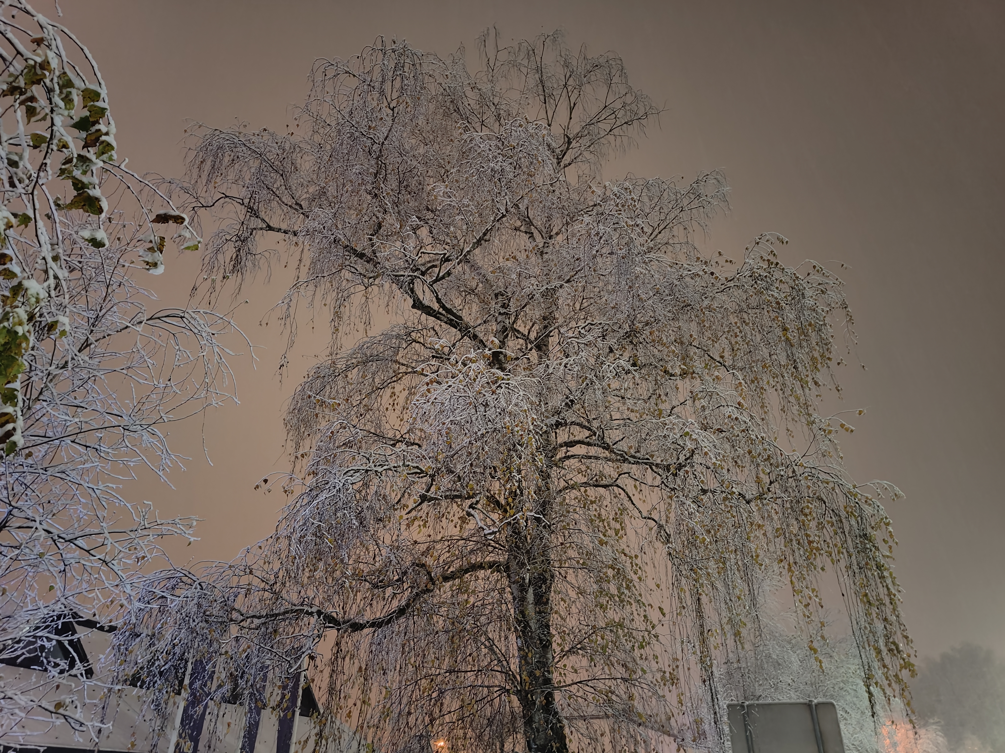 Prvi letošnji sneg, Medvode (Foto:  N1)