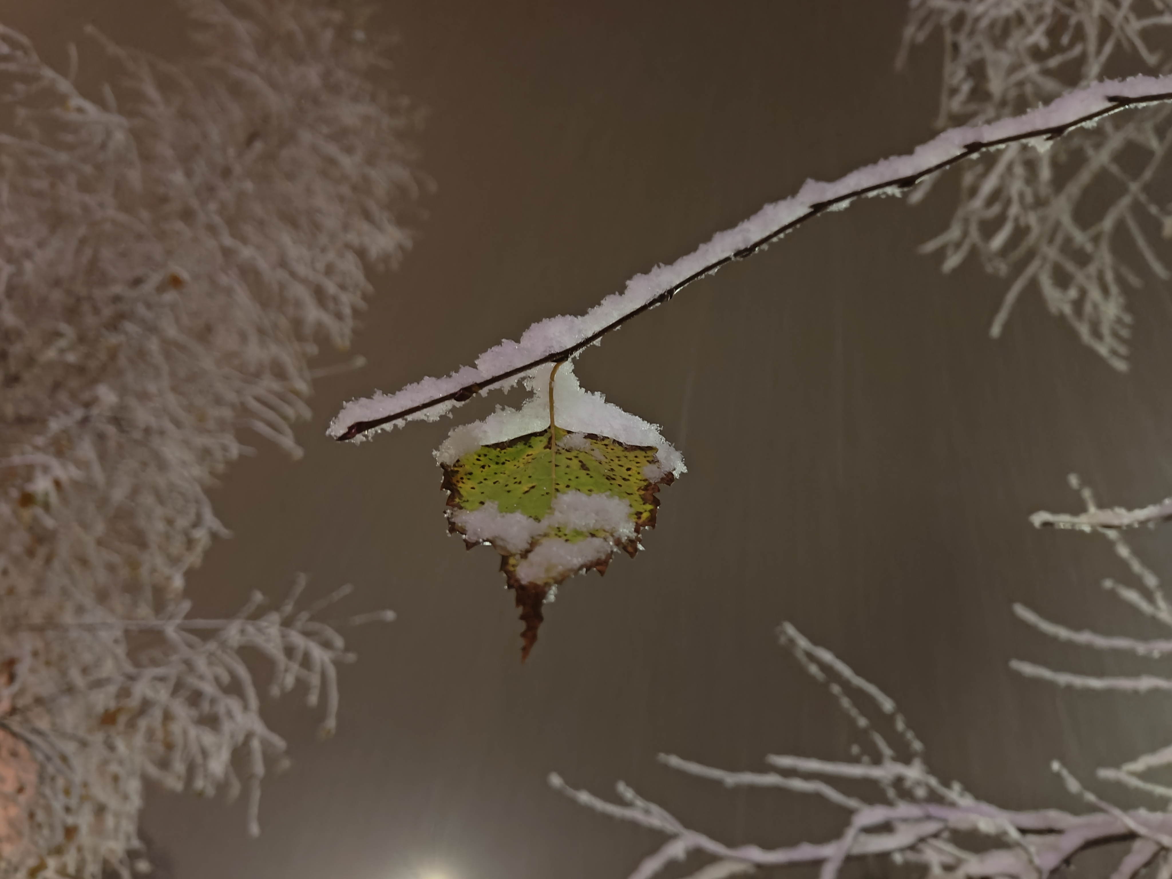 Prvi letošnji sneg, Medvode (Foto:  N1)