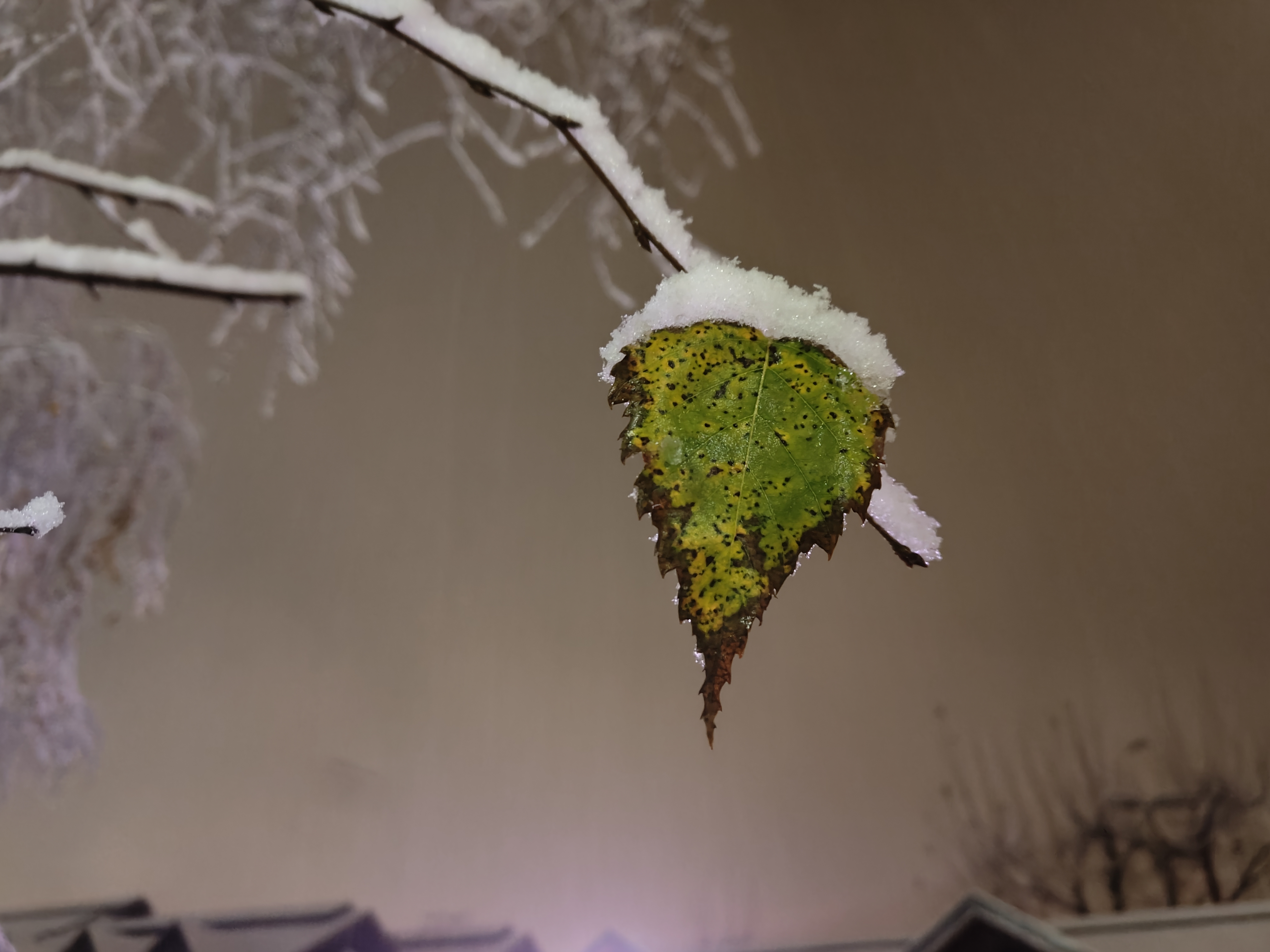 Prvi letošnji sneg, Medvode (Foto:  N1)