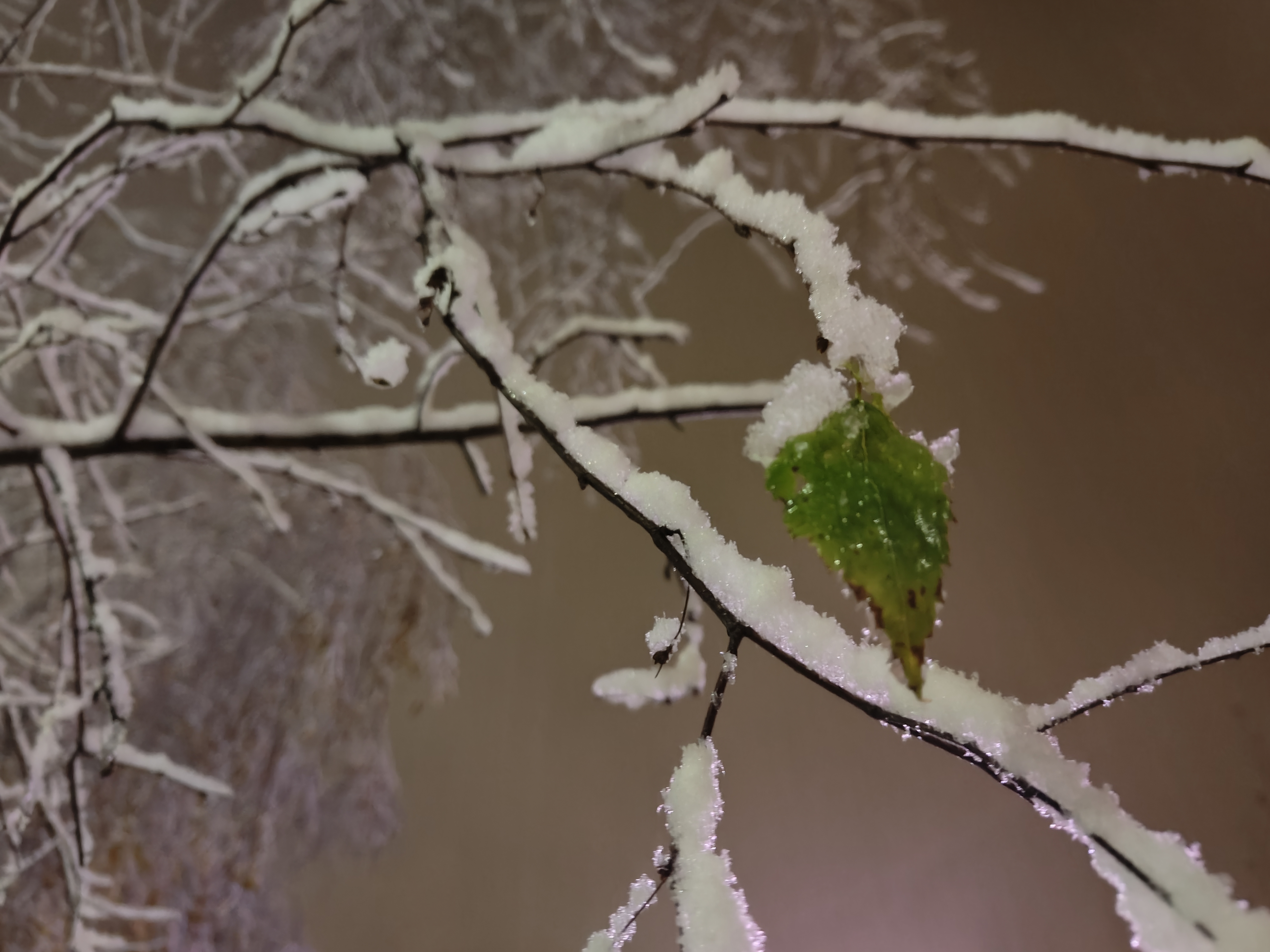 Prvi letošnji sneg, Medvode (Foto:  N1)
