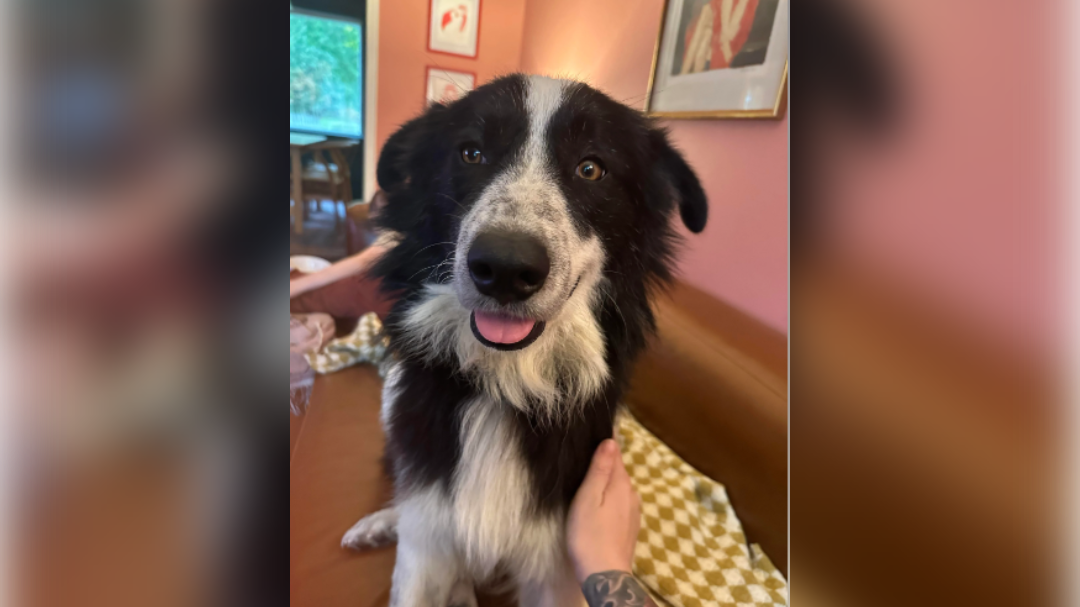 high-res-image - 2024-11-25T092957.827