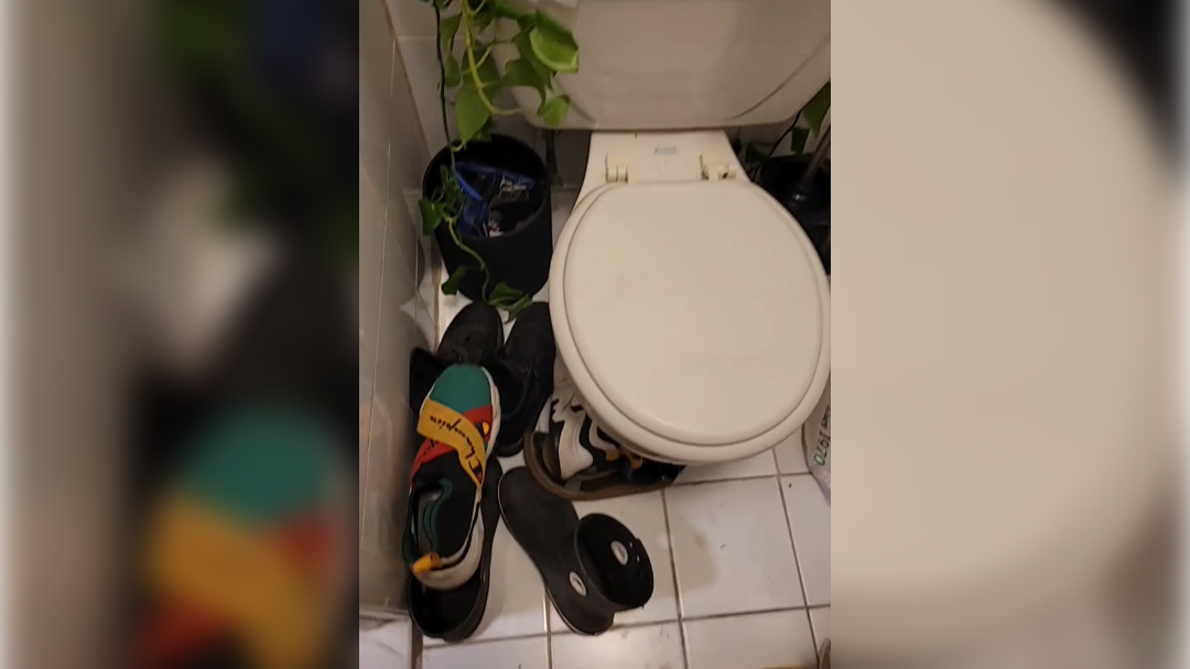 high-res-image - 2024-11-26T084532.156