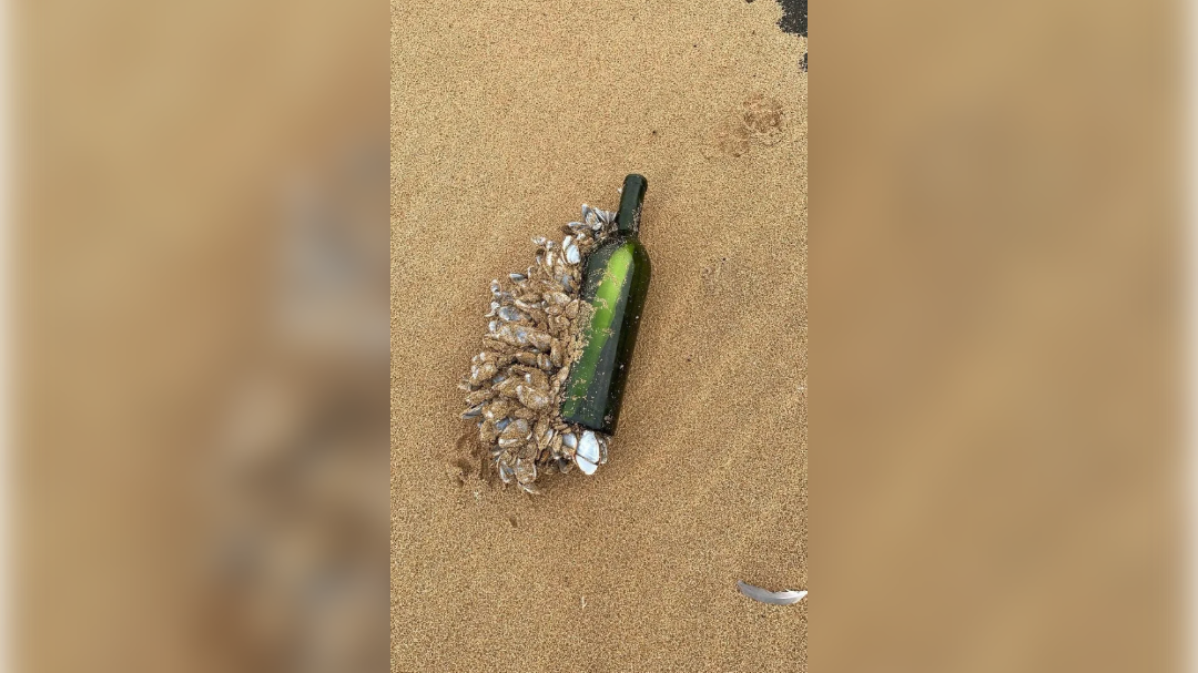 high-res-image - 2024-11-28T114013.107