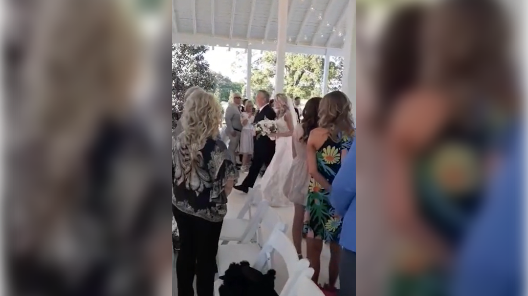 high-res-image - 2024-11-28T133007.113