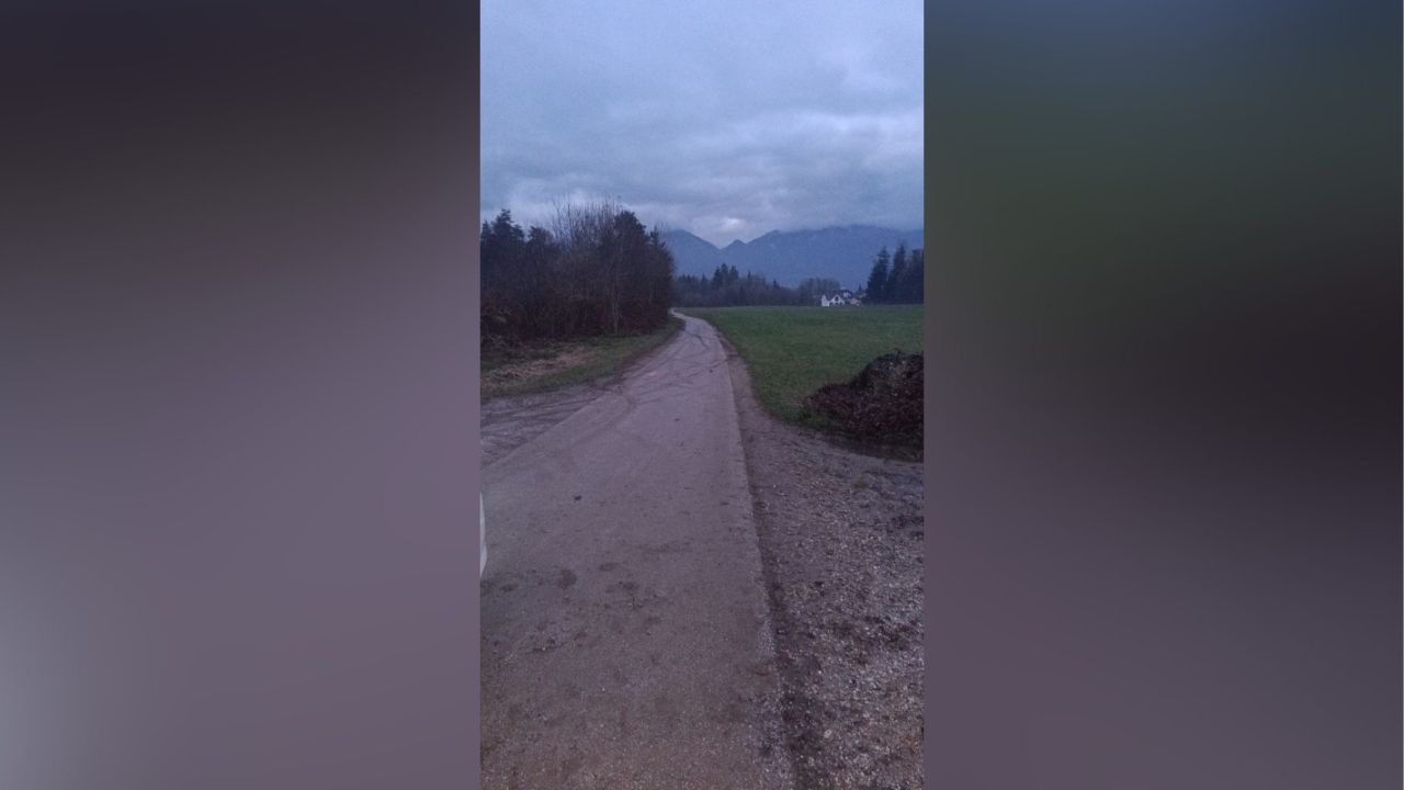 kolesarska steza, prometna nesreča, pot