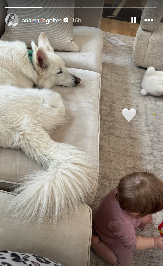 Posnetek zaslona 2024-11-29 084413